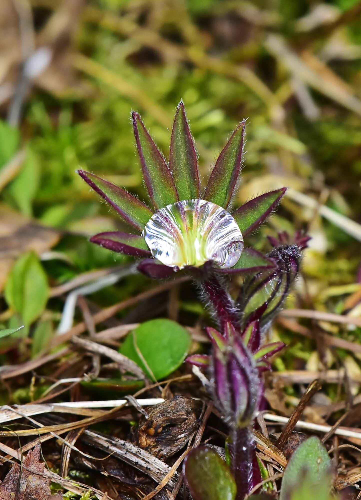 Valokuvaaja: Markku Pelkonen
