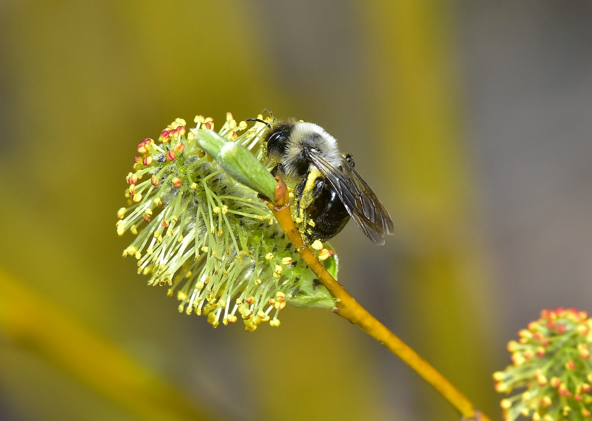 Valokuvaaja: Markku Pelkonen