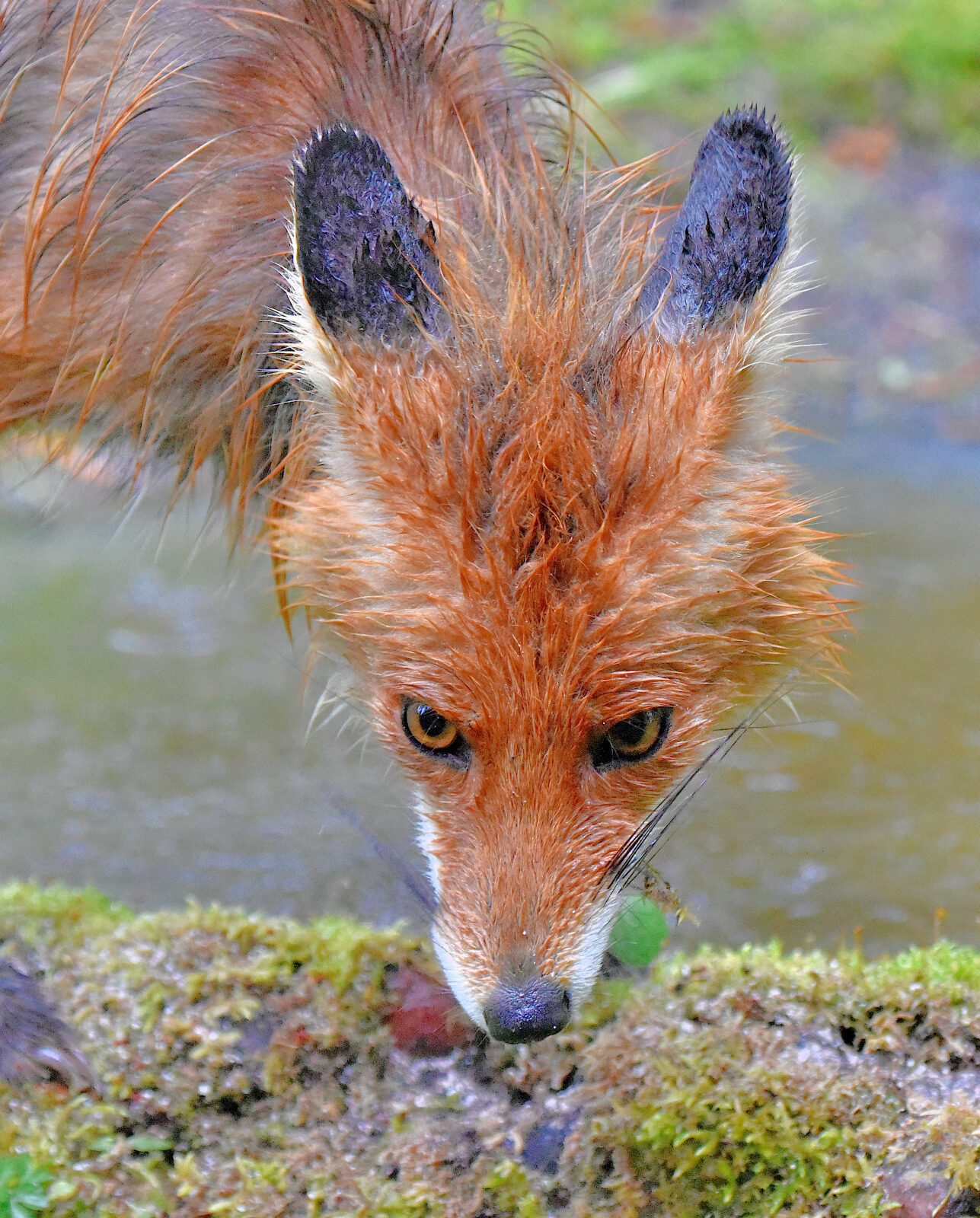 Valokuvaaja: Reijo Juurinen