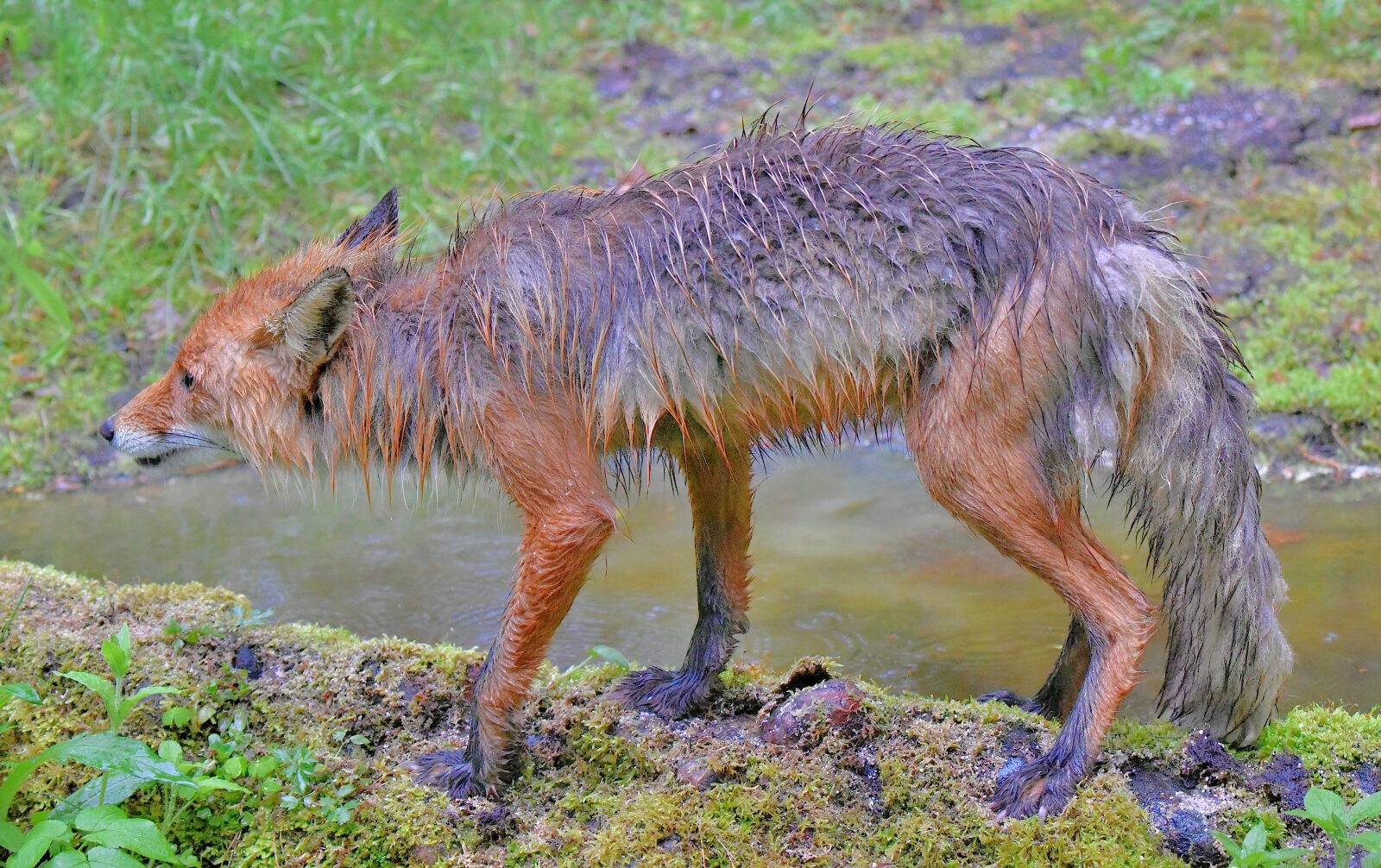 Valokuvaaja: Reijo Juurinen