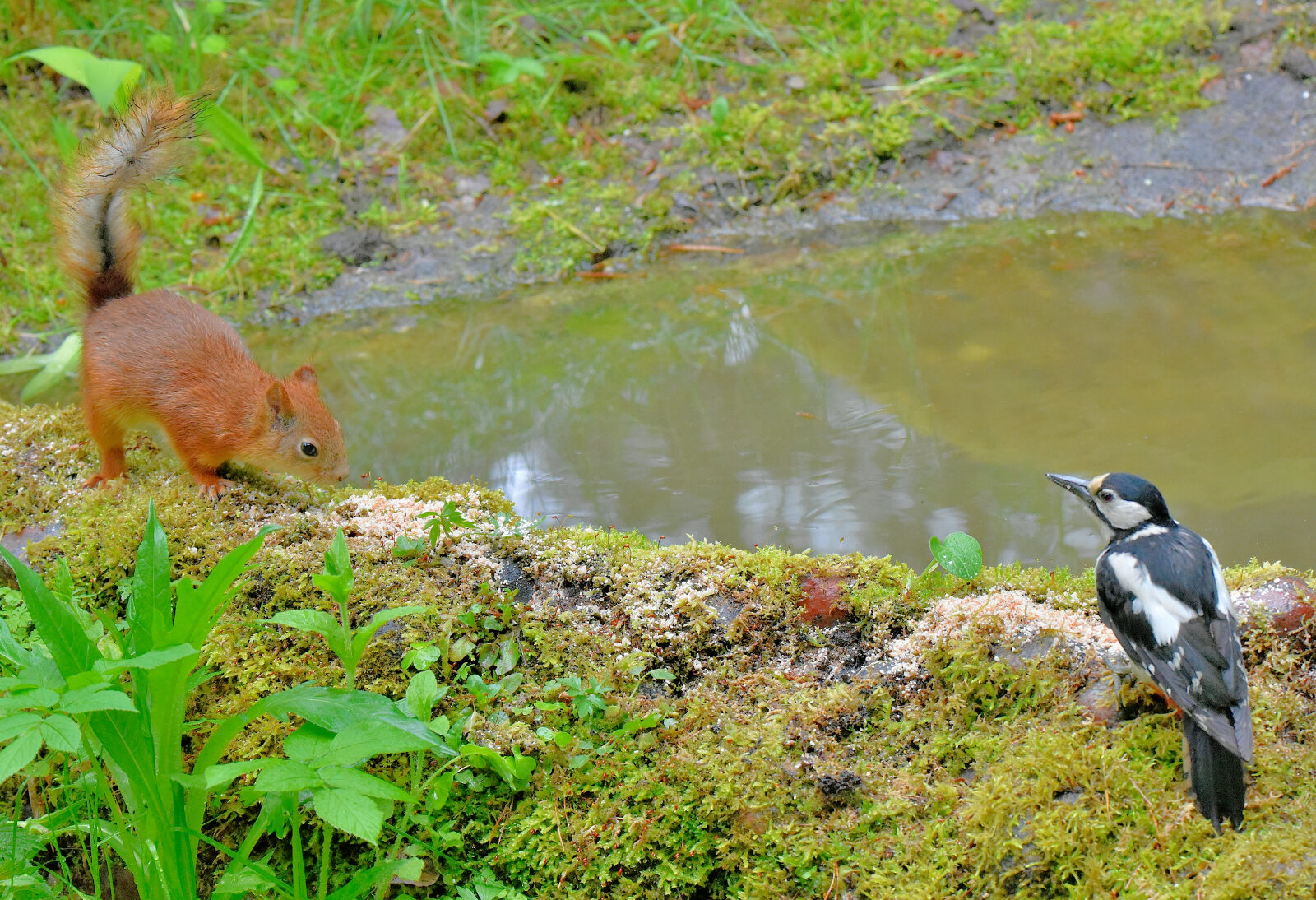 Valokuvaaja: Reijo Juurinen
