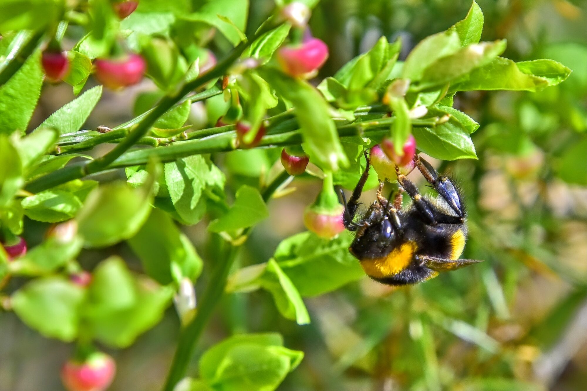 Valokuvaaja: Markku Pelkonen