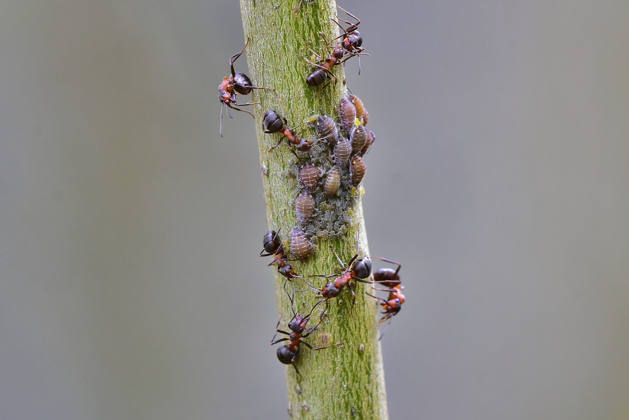 Valokuvaaja: Markku Pelkonen