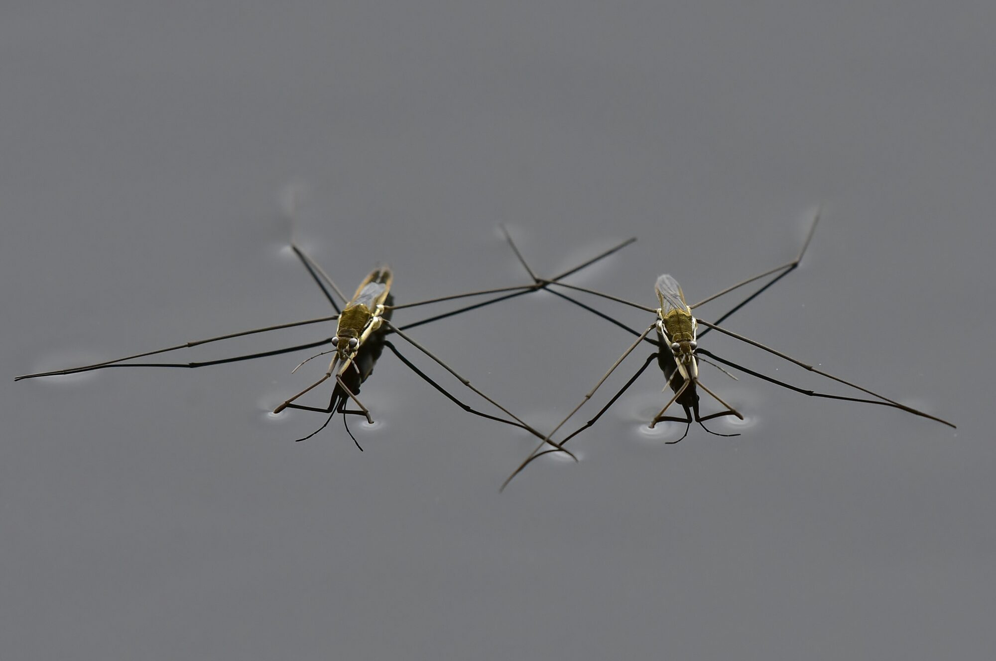 Valokuvaaja: Markku Pelkonen