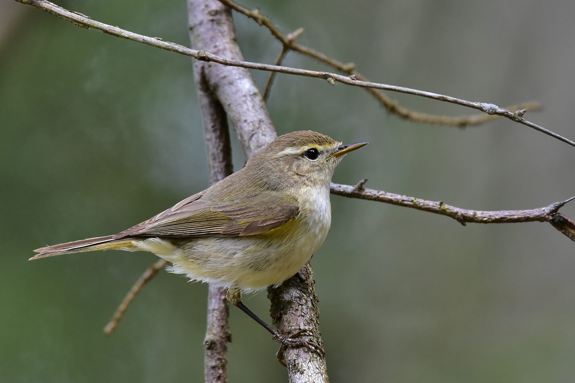 Valokuvaaja: Markku Pelkonen