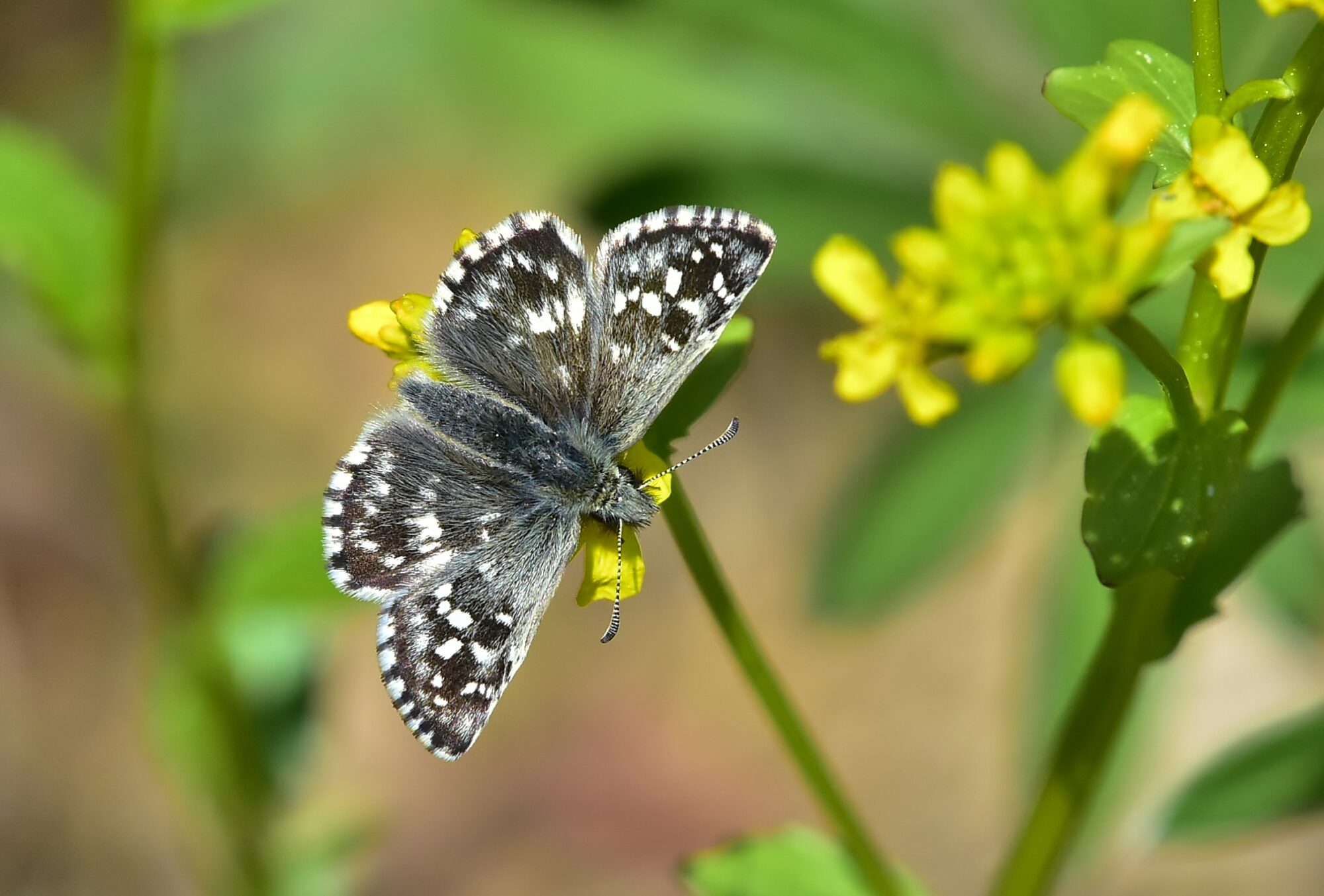 Valokuvaaja: Markku Pelkonen