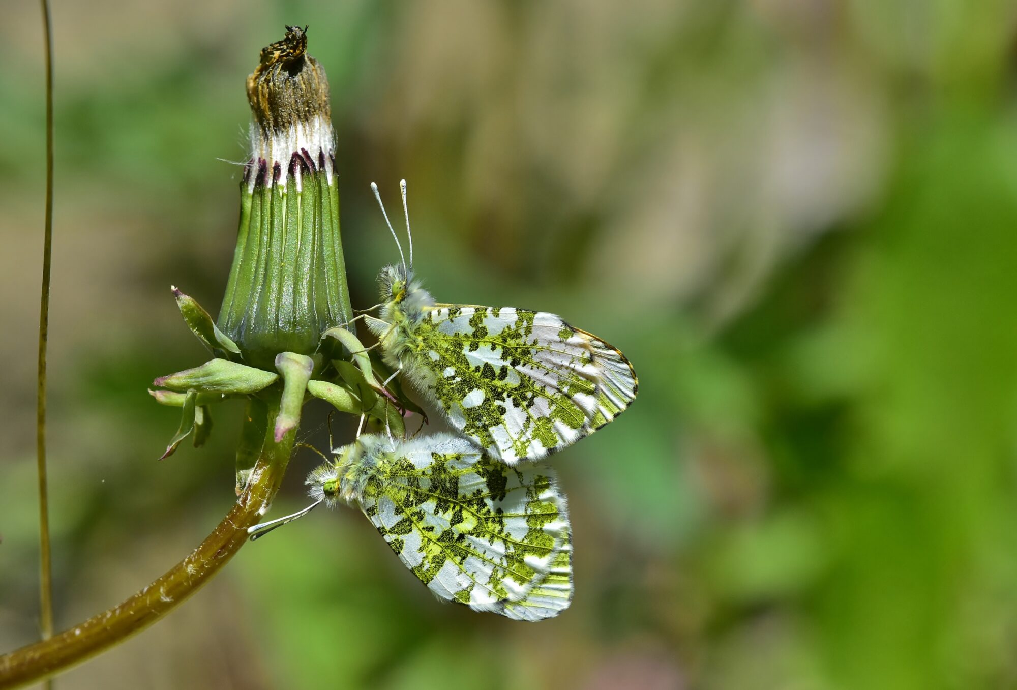 Valokuvaaja: Markku Pelkonen