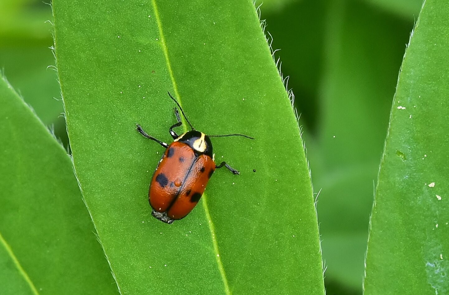 Valokuvaaja: Markku Pelkonen