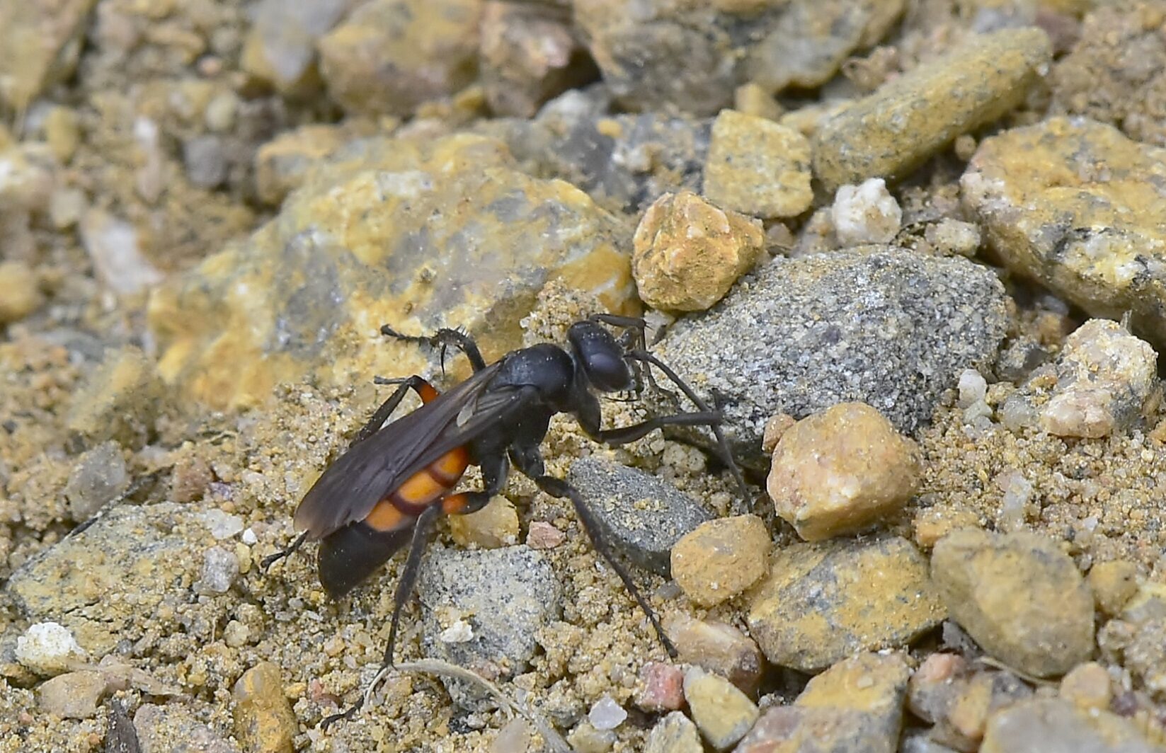 Valokuvaaja: Markku Pelkonen