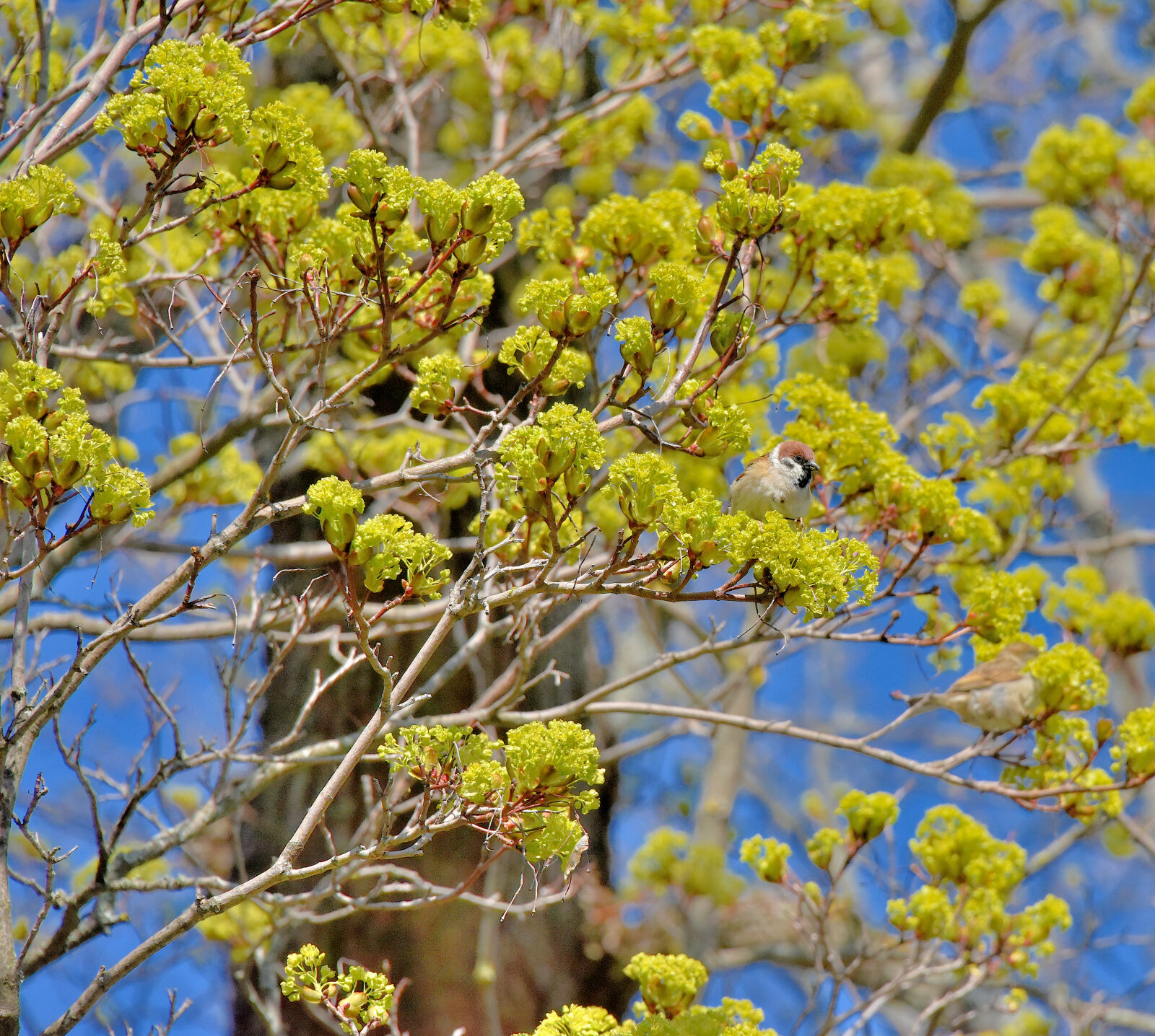 Valokuvaaja: Reijo Juurinen