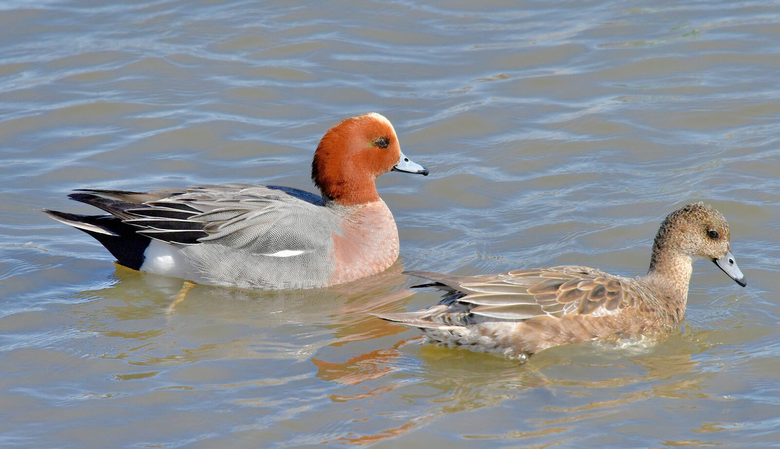 Valokuvaaja: Reijo Juurinen