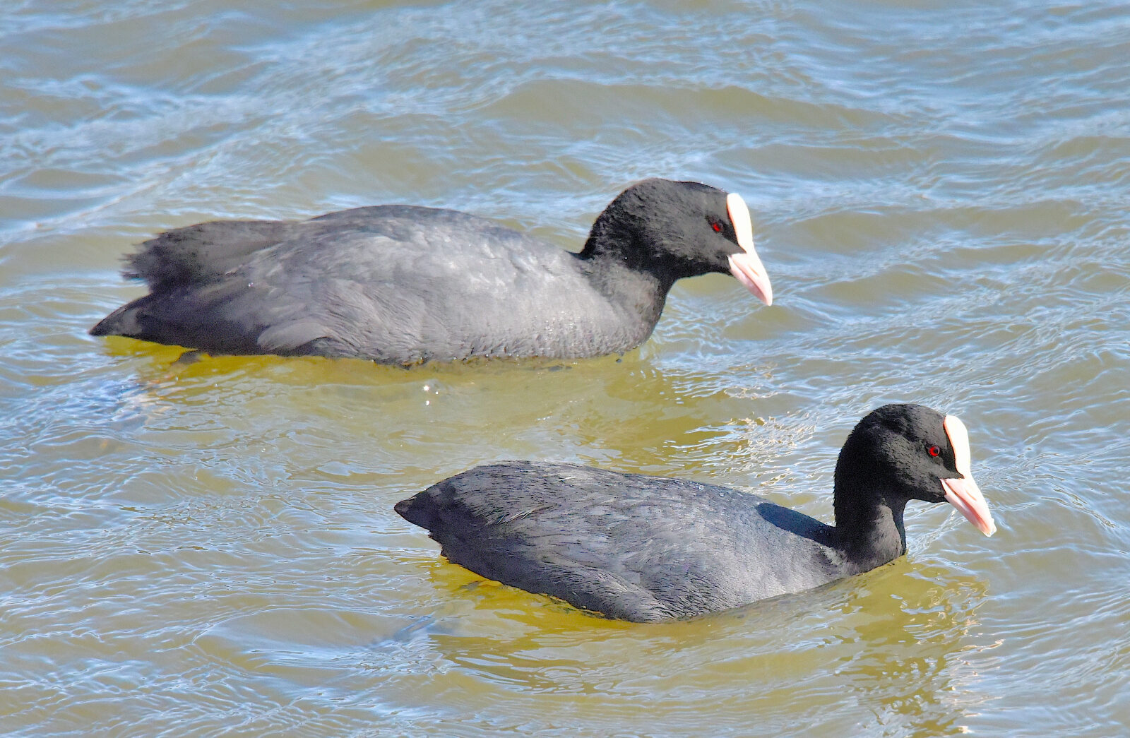 Valokuvaaja: Reijo Juurinen
