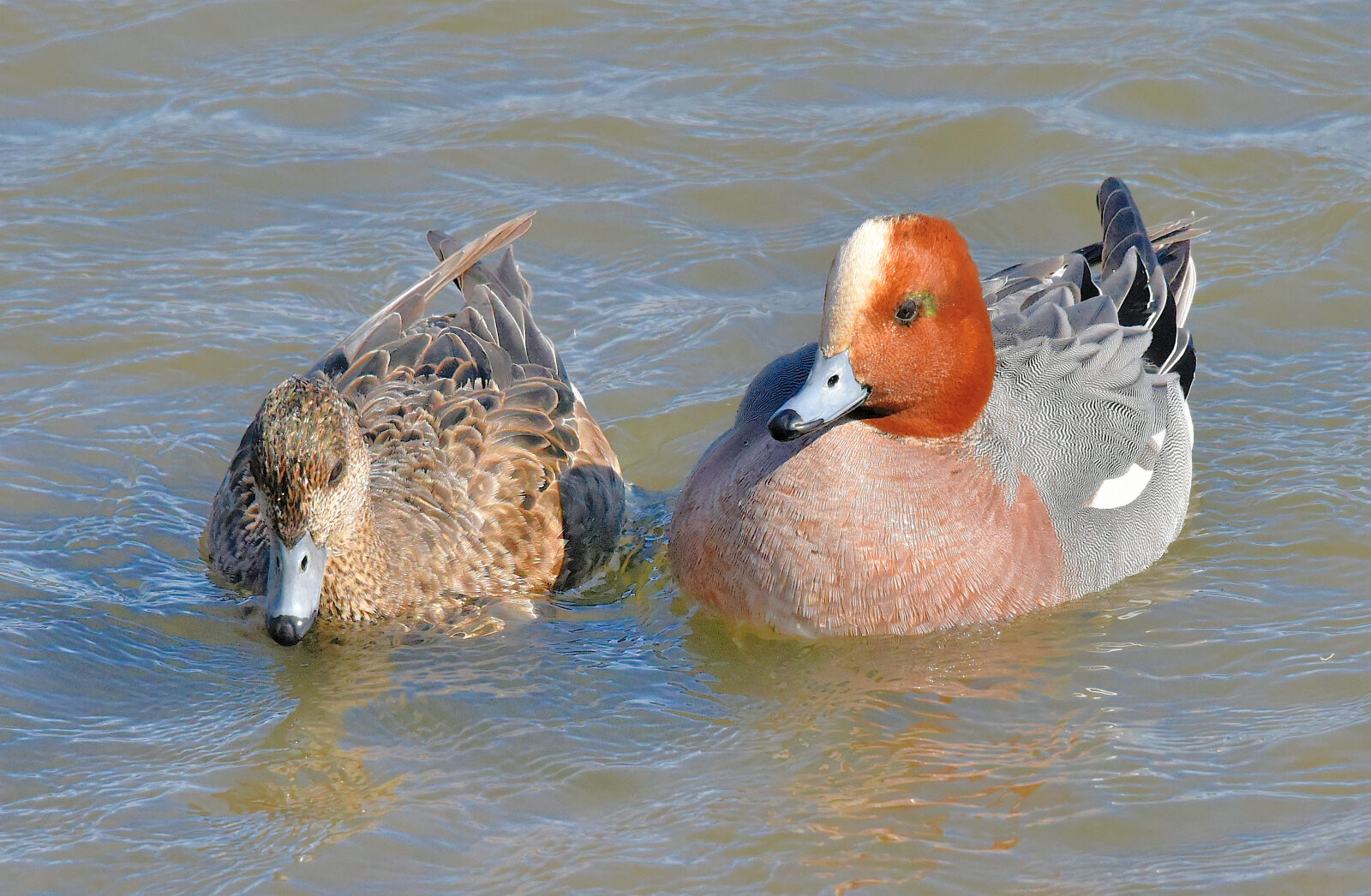 Valokuvaaja: Reijo Juurinen