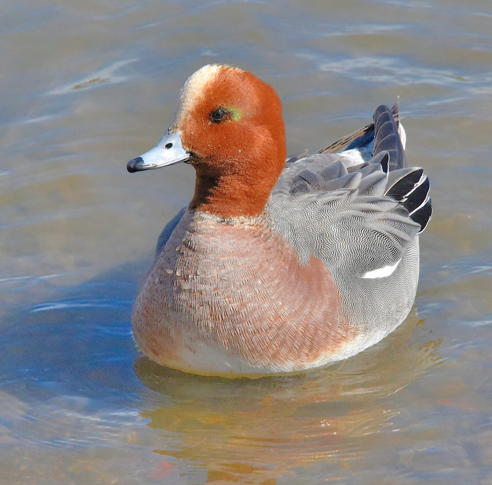 Valokuvaaja: Reijo Juurinen