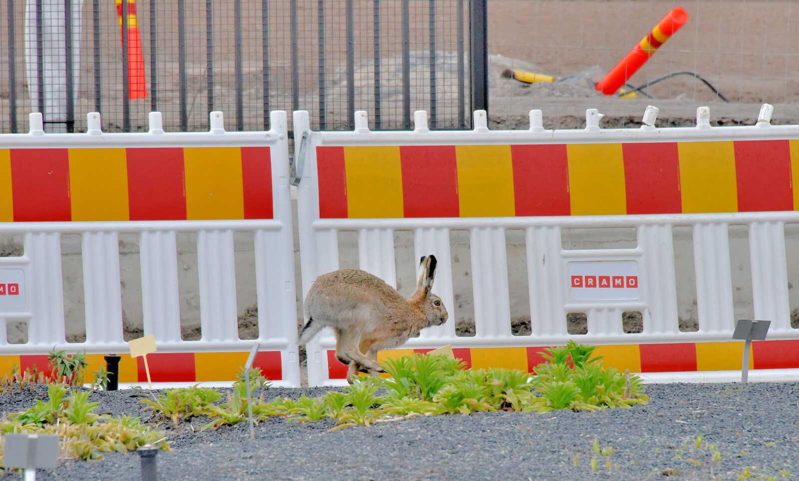 Valokuvaaja: Reijo Juurinen