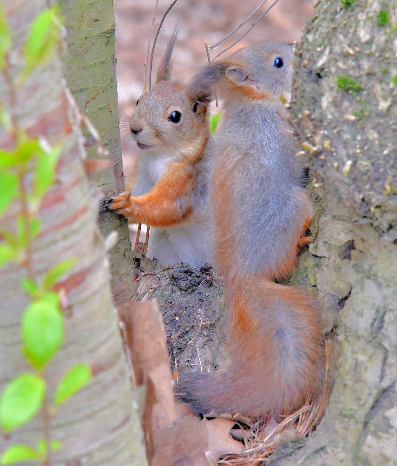 Valokuvaaja: Reijo Juurinen