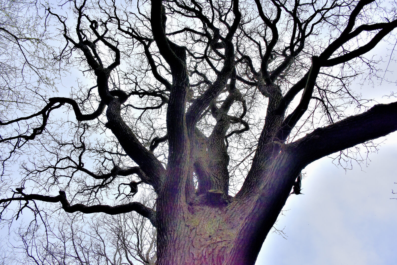 Valokuvaaja: Reijo Juurinen