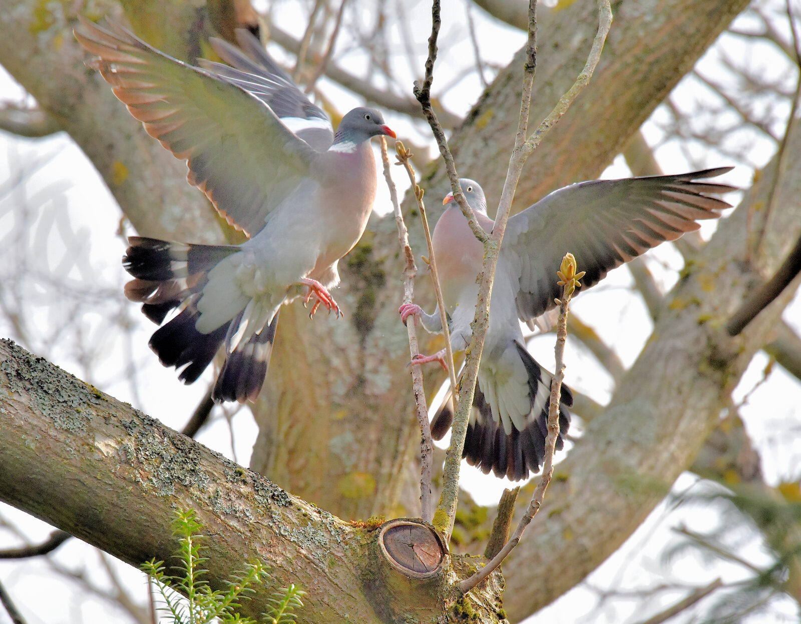 Valokuvaaja: Reijo Juurinen