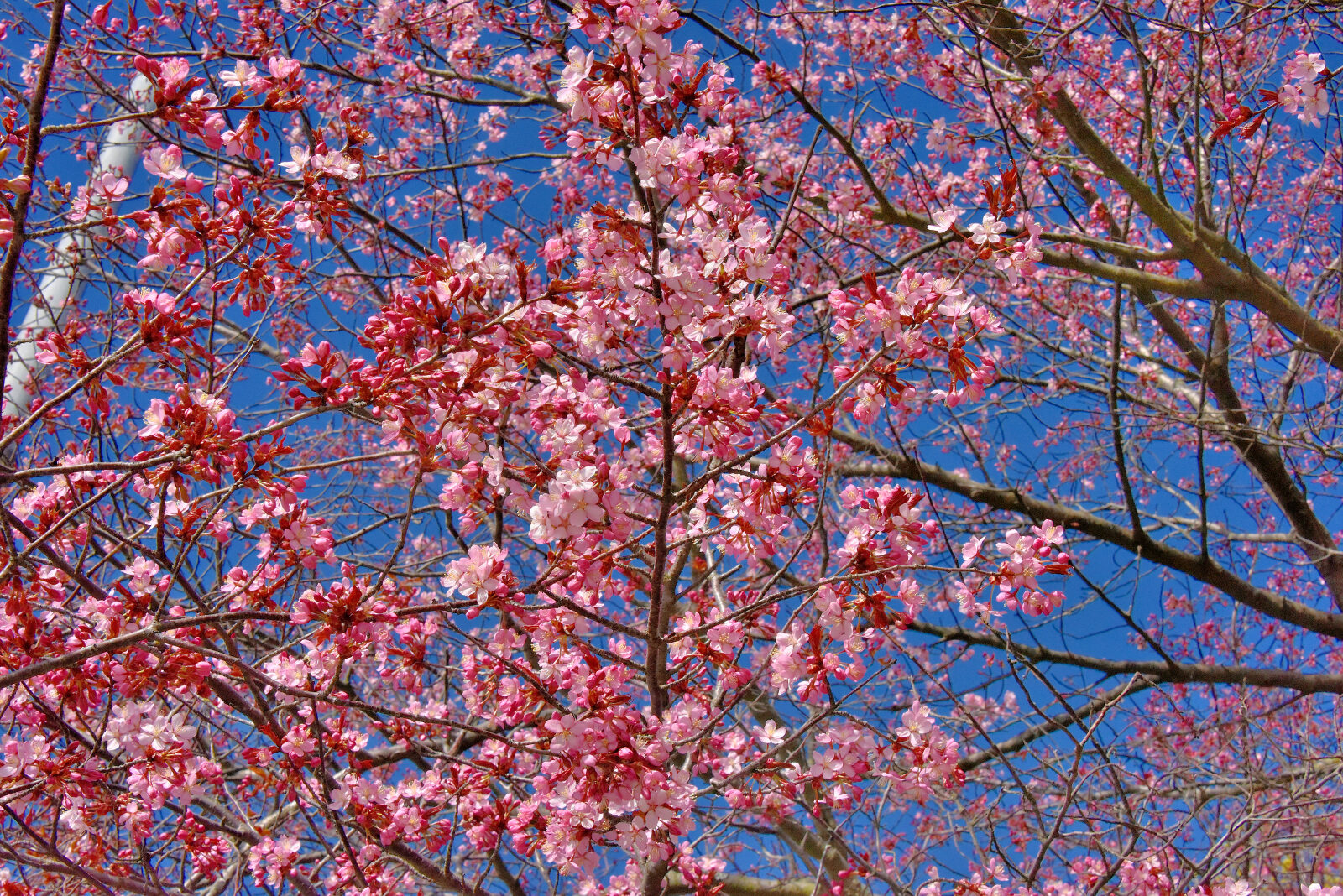Valokuvaaja: Reijo Juurinen