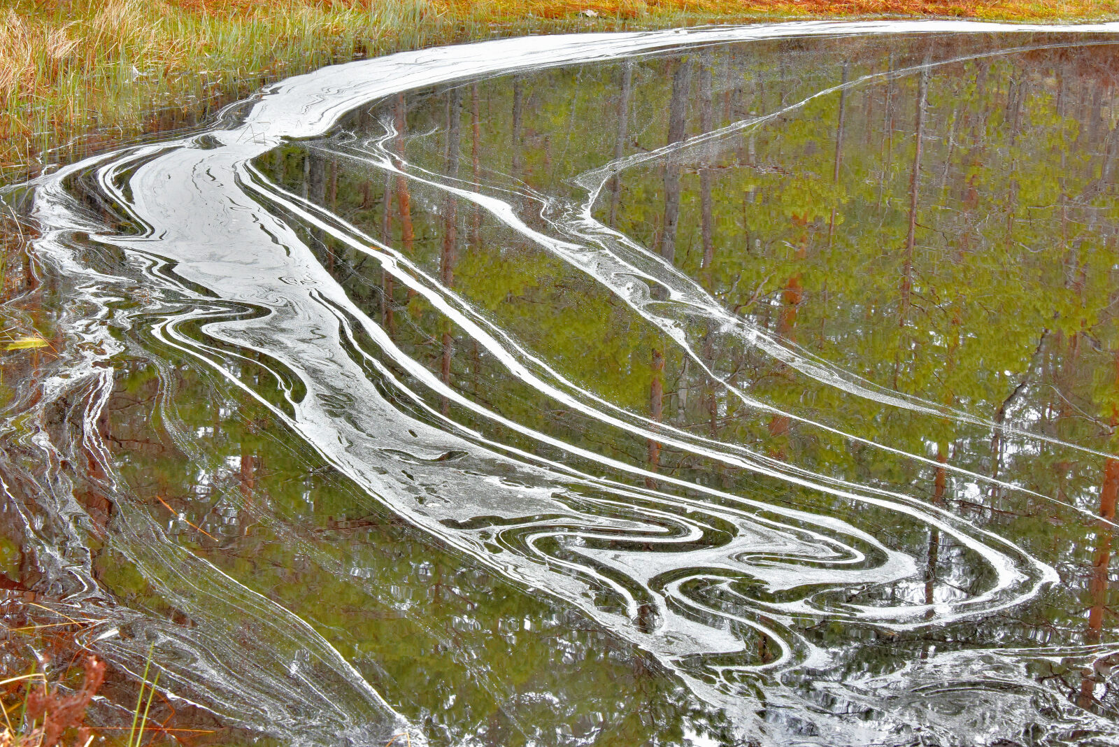 Valokuvaaja: Reijo Juurinen