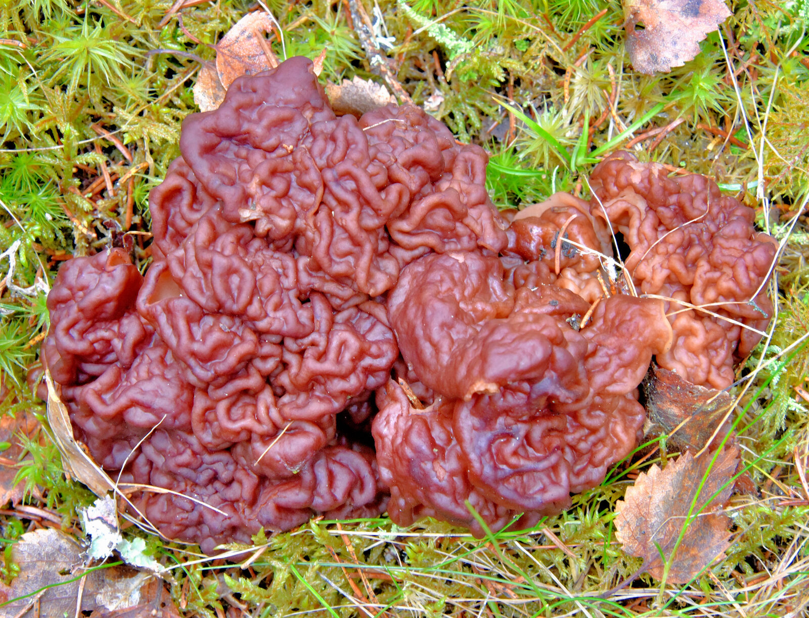 Valokuvaaja: Reijo Juurinen