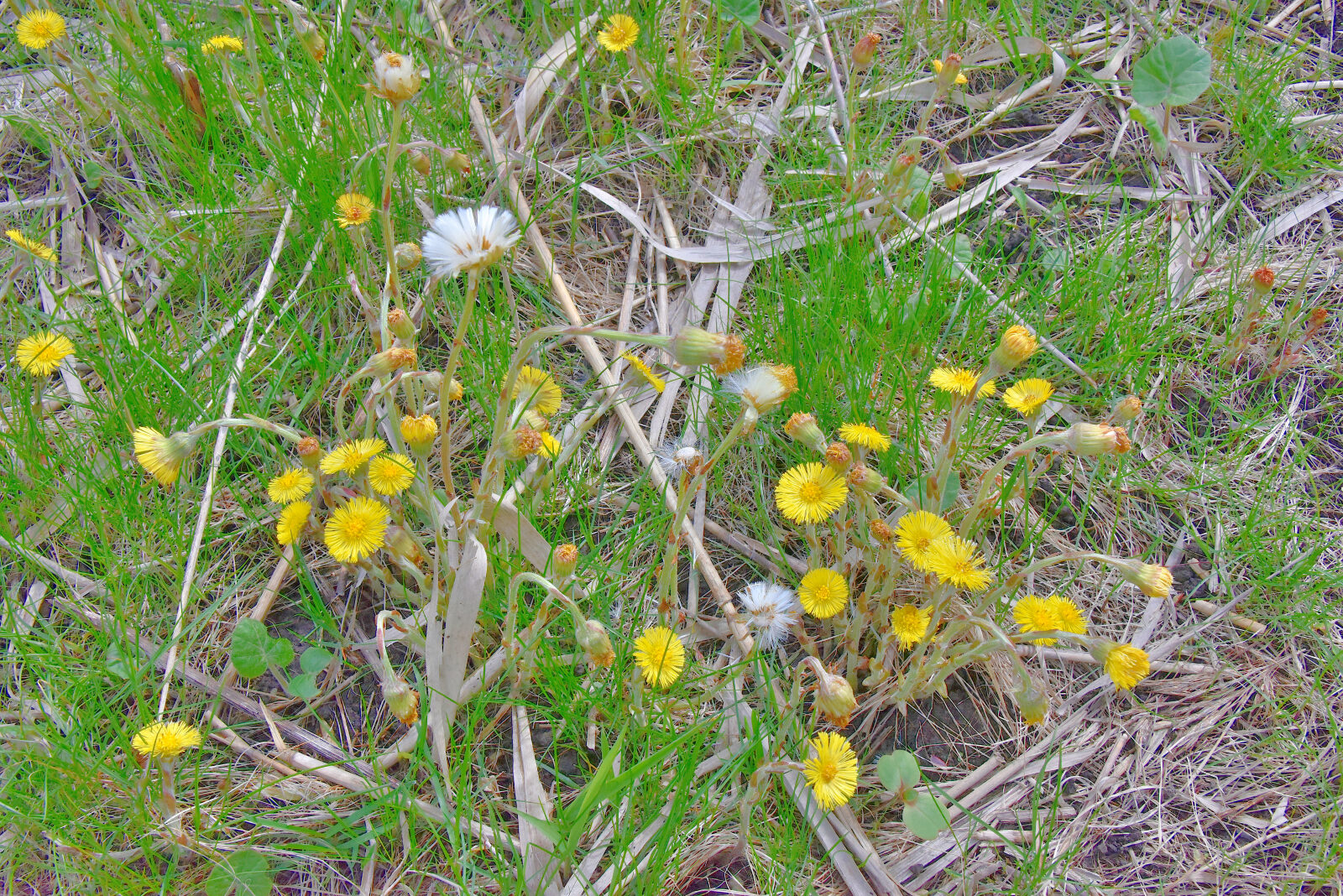 Valokuvaaja: Reijo Juurinen Valokuvaaja: Reijo Juurinen