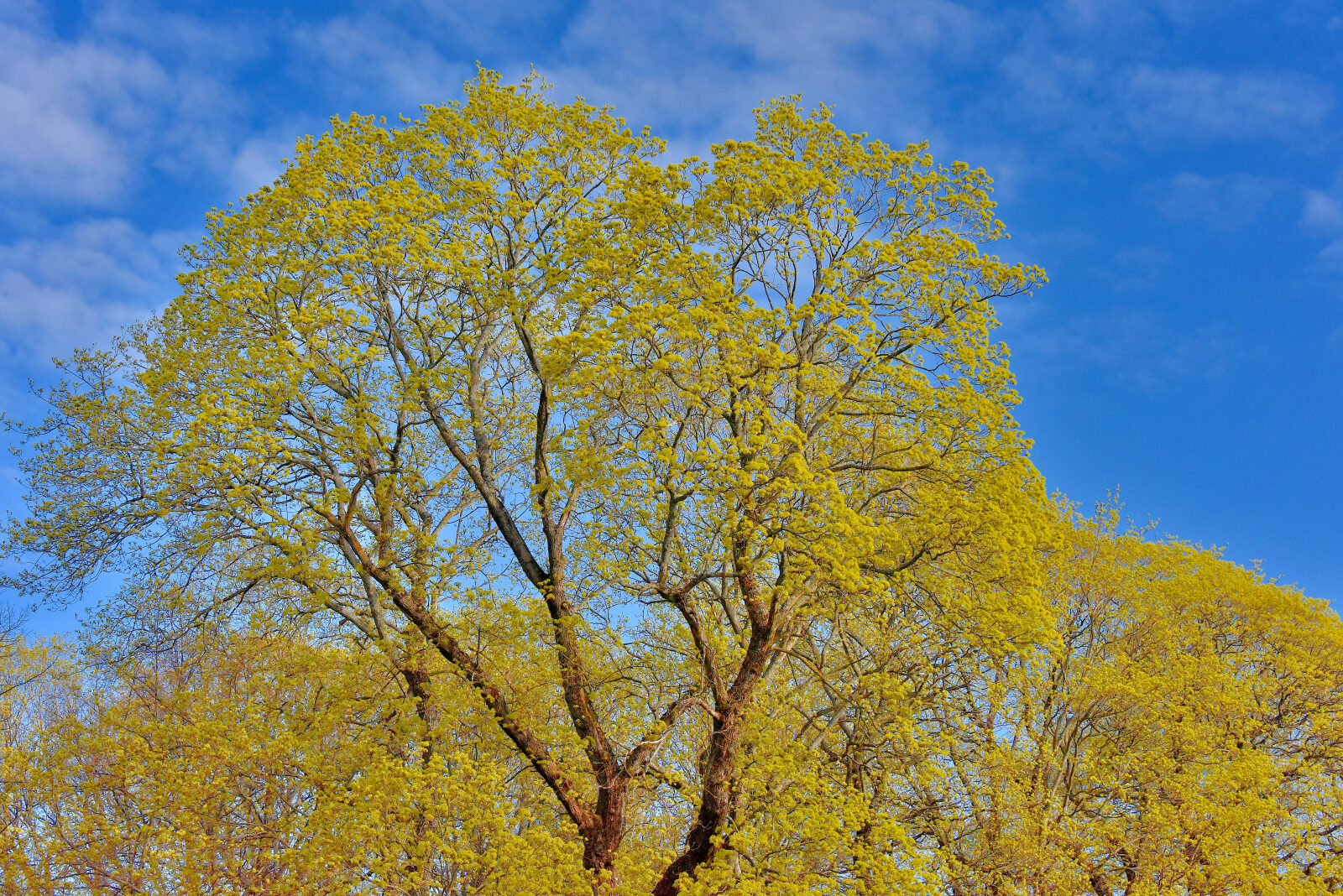 Valokuvaaja: Reijo Juurinen