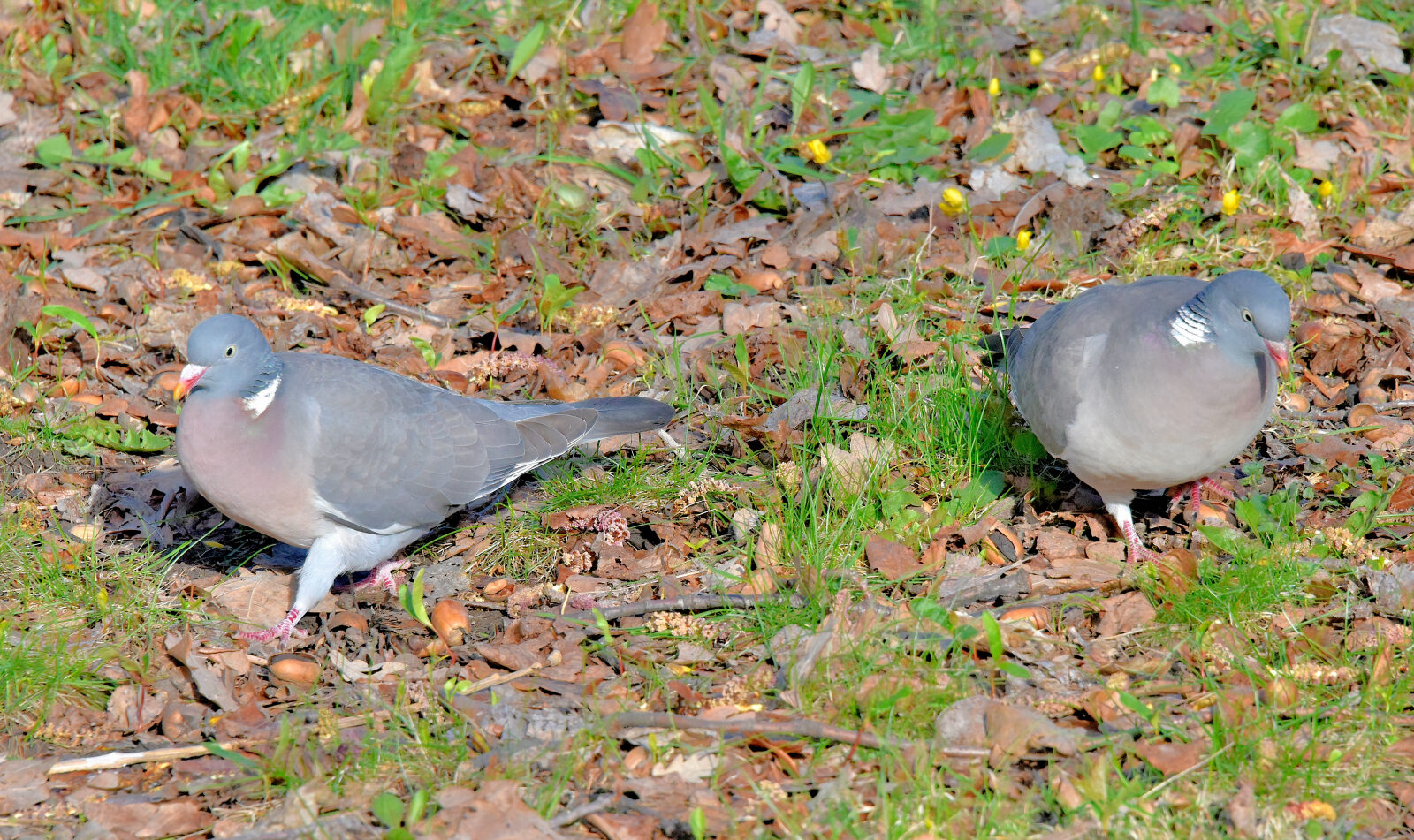 Valokuvaaja: Reijo Juurinen
