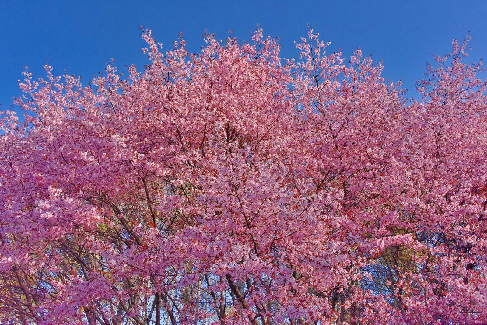 Valokuvaaja: Reijo Juurinen