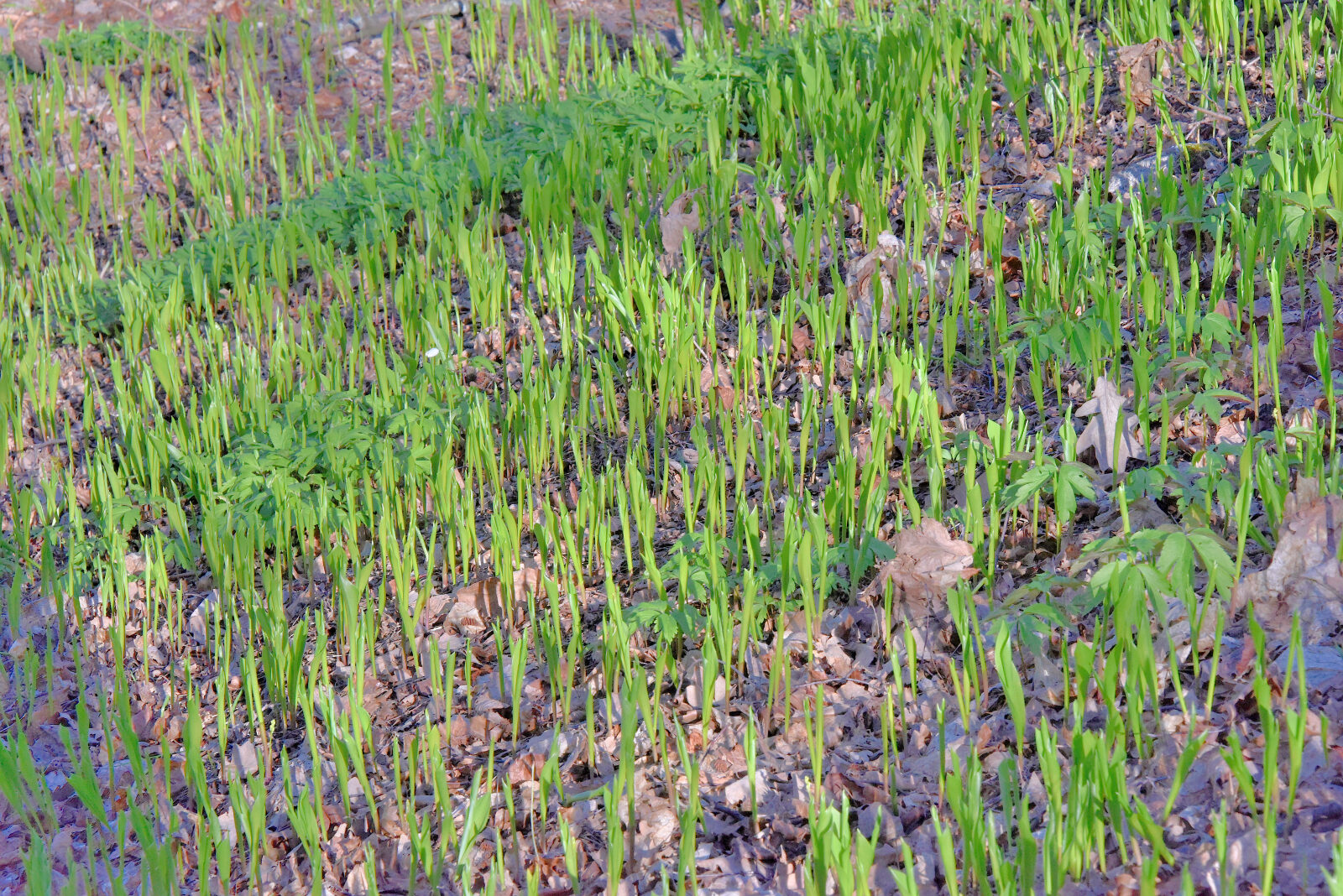 Valokuvaaja: Reijo Juurinen Valokuvaaja: Reijo Juurinen