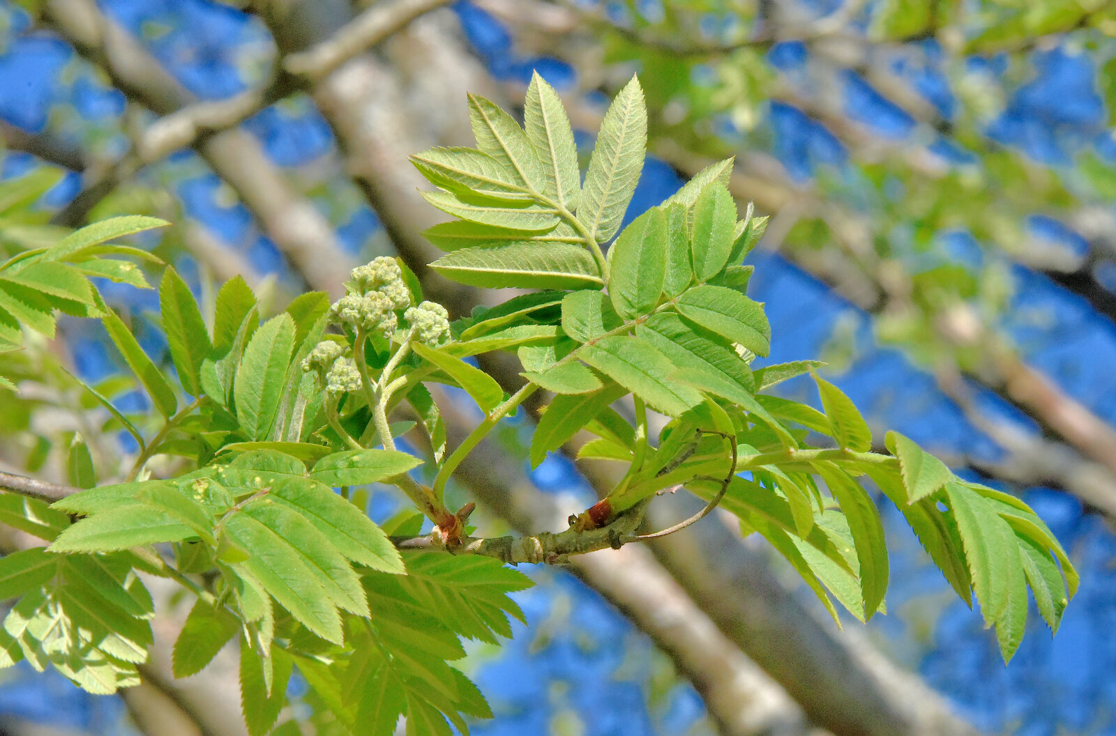 Valokuvaaja: Reijo Juurinen