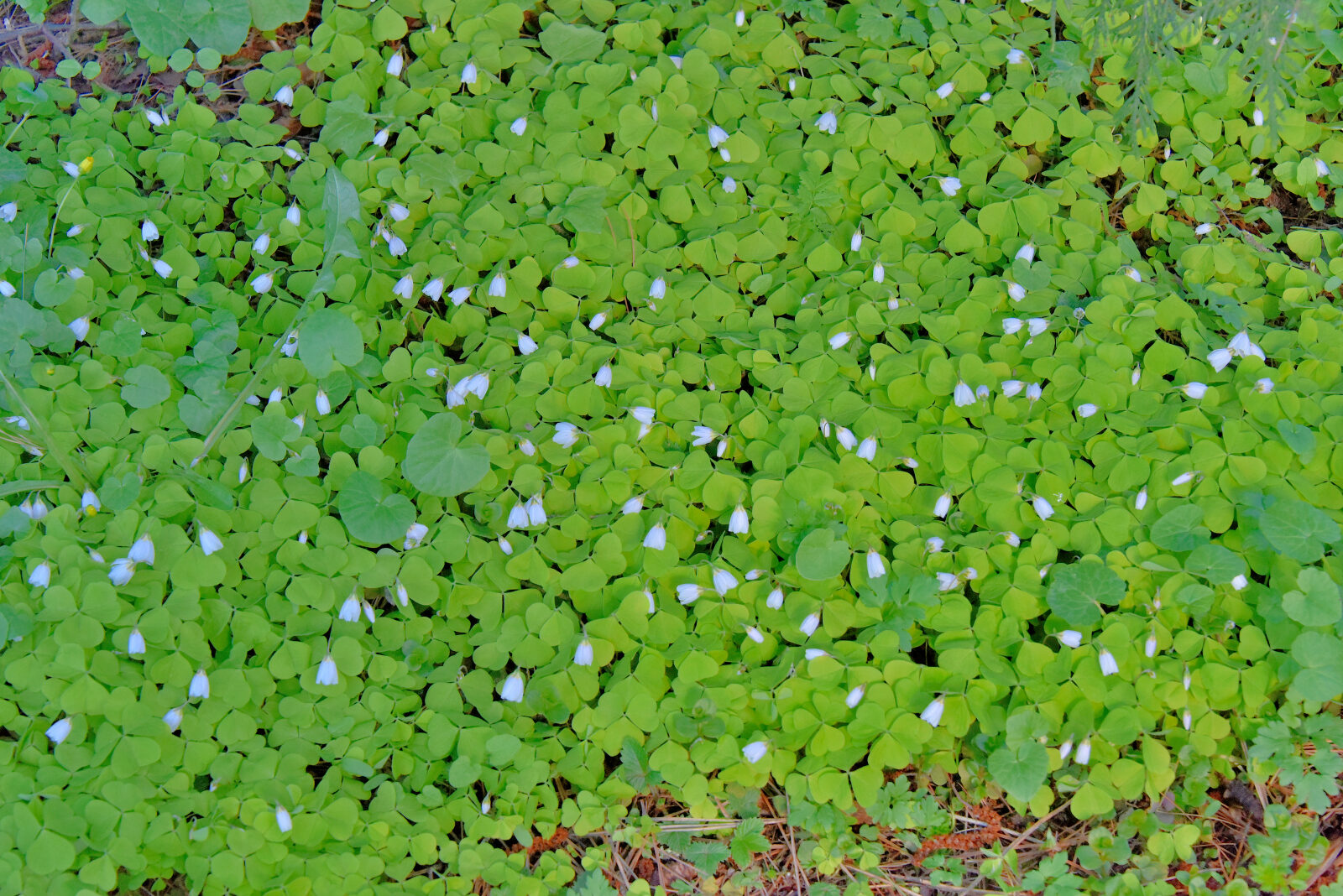 Valokuvaaja: Reijo Juurinen Valokuvaaja: Reijo Juurinen