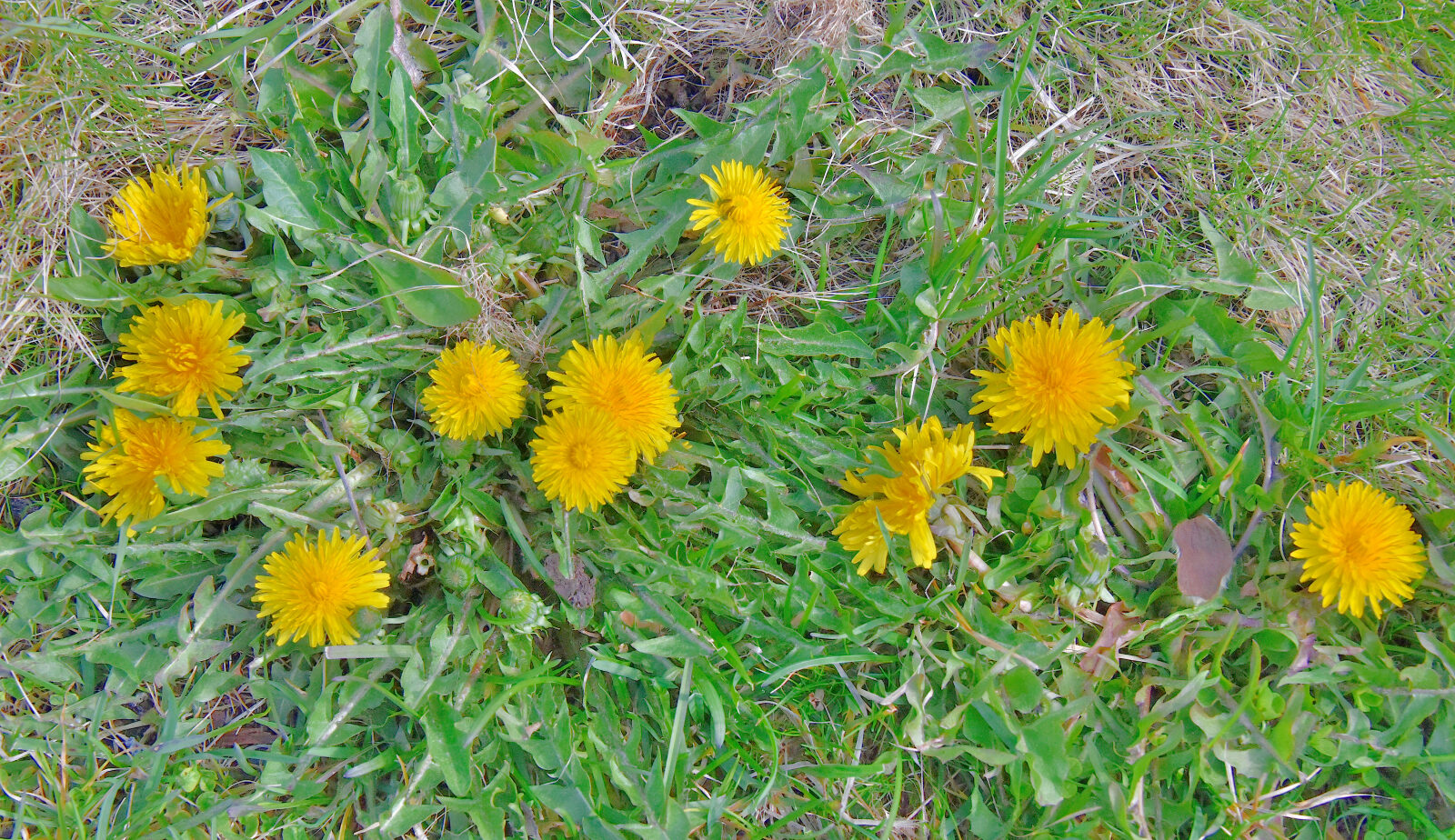 Valokuvaaja: Reijo Juurinen Valokuvaaja: Reijo Juurinen