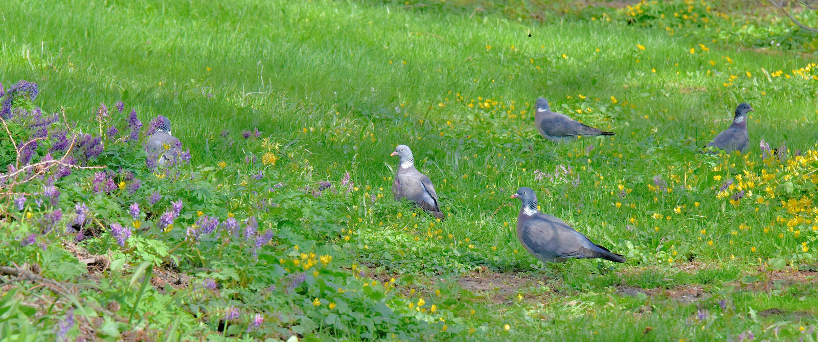 Valokuvaaja: Reijo Juurinen Valokuvaaja: Reijo Juurinen