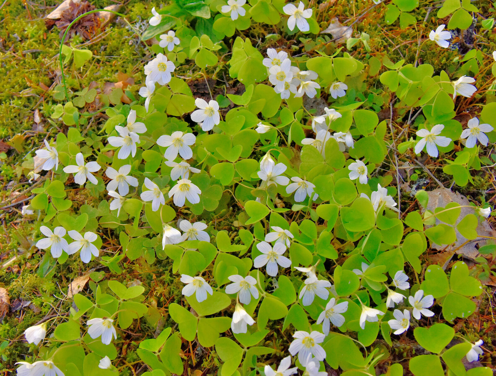 Valokuvaaja: Reijo Juurinen Valokuvaaja: Reijo Juurinen