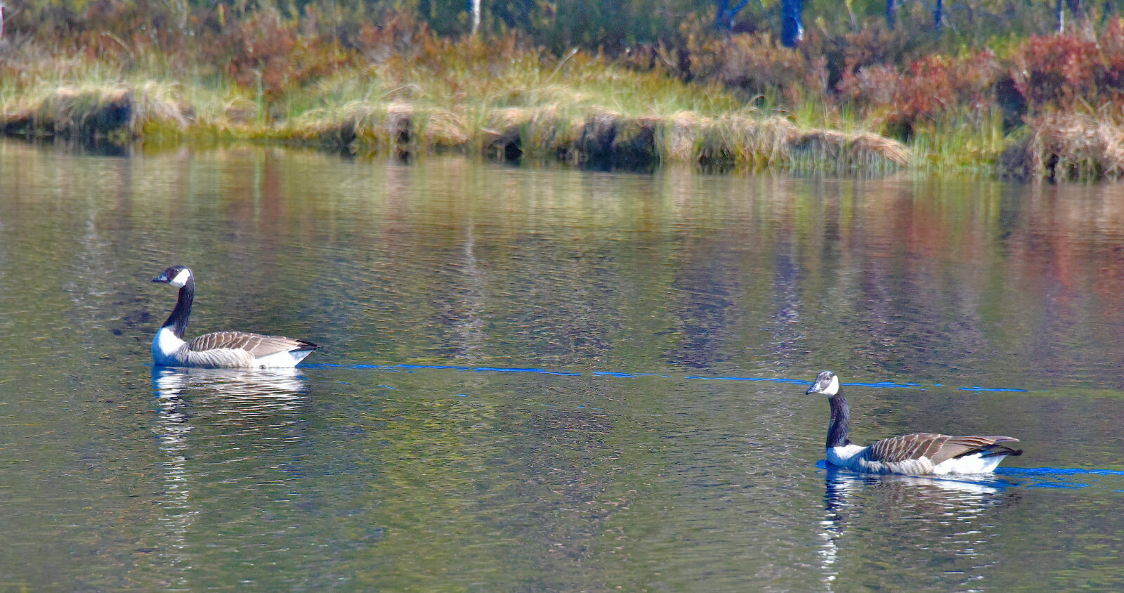 Valokuvaaja: Reijo Juurinen