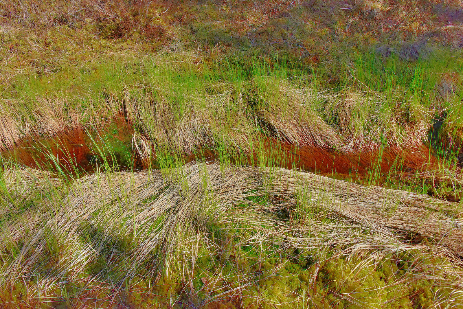 Valokuvaaja: Reijo Juurinen