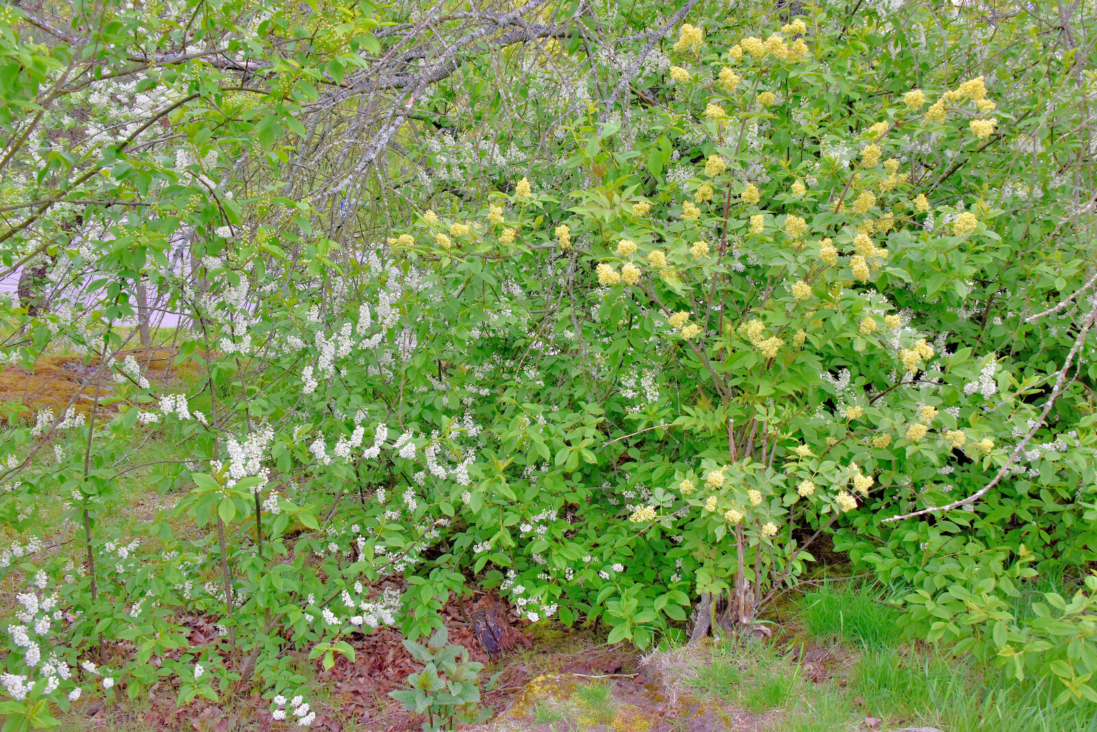 Valokuvaaja: Reijo Juurinen