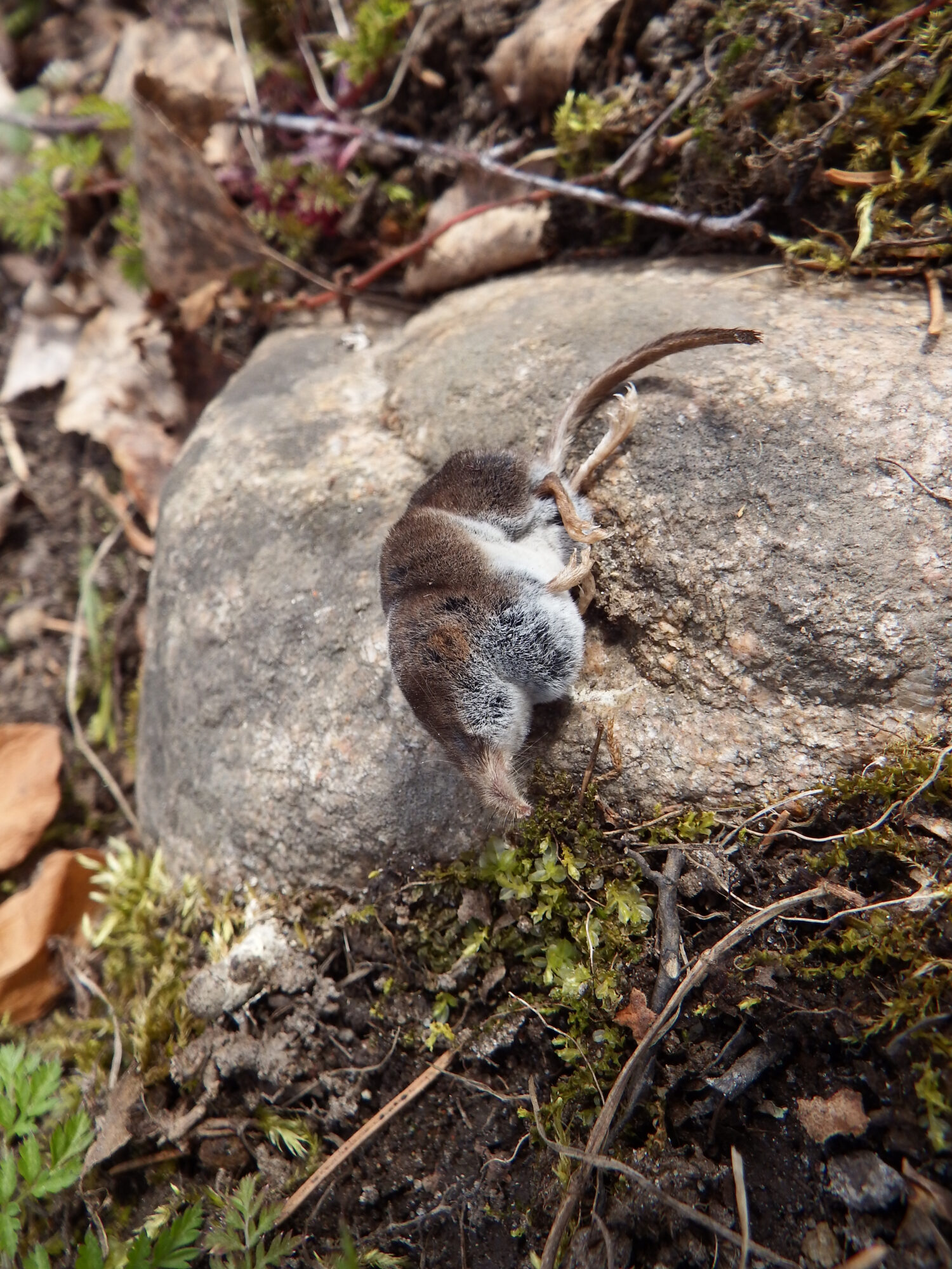 Valokuvaaja: Toni Asikainen Valokuvaaja: Toni Asikainen