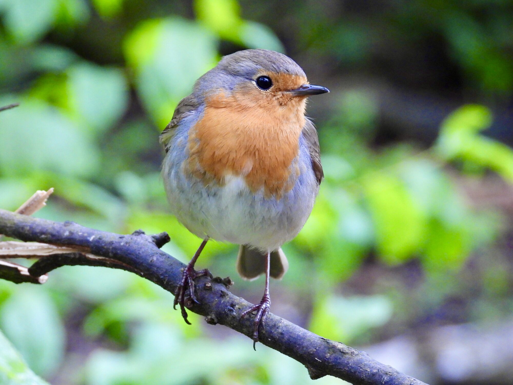 Valokuvaaja: Juhani Peltonen Valokuvaaja: Juhani Peltonen