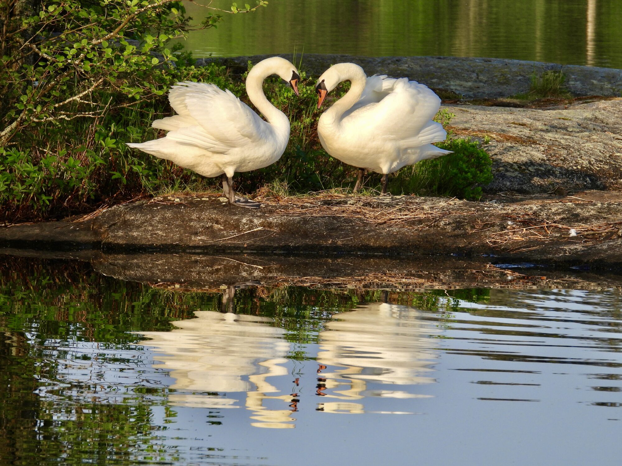 Valokuvaaja: Juhani Peltonen