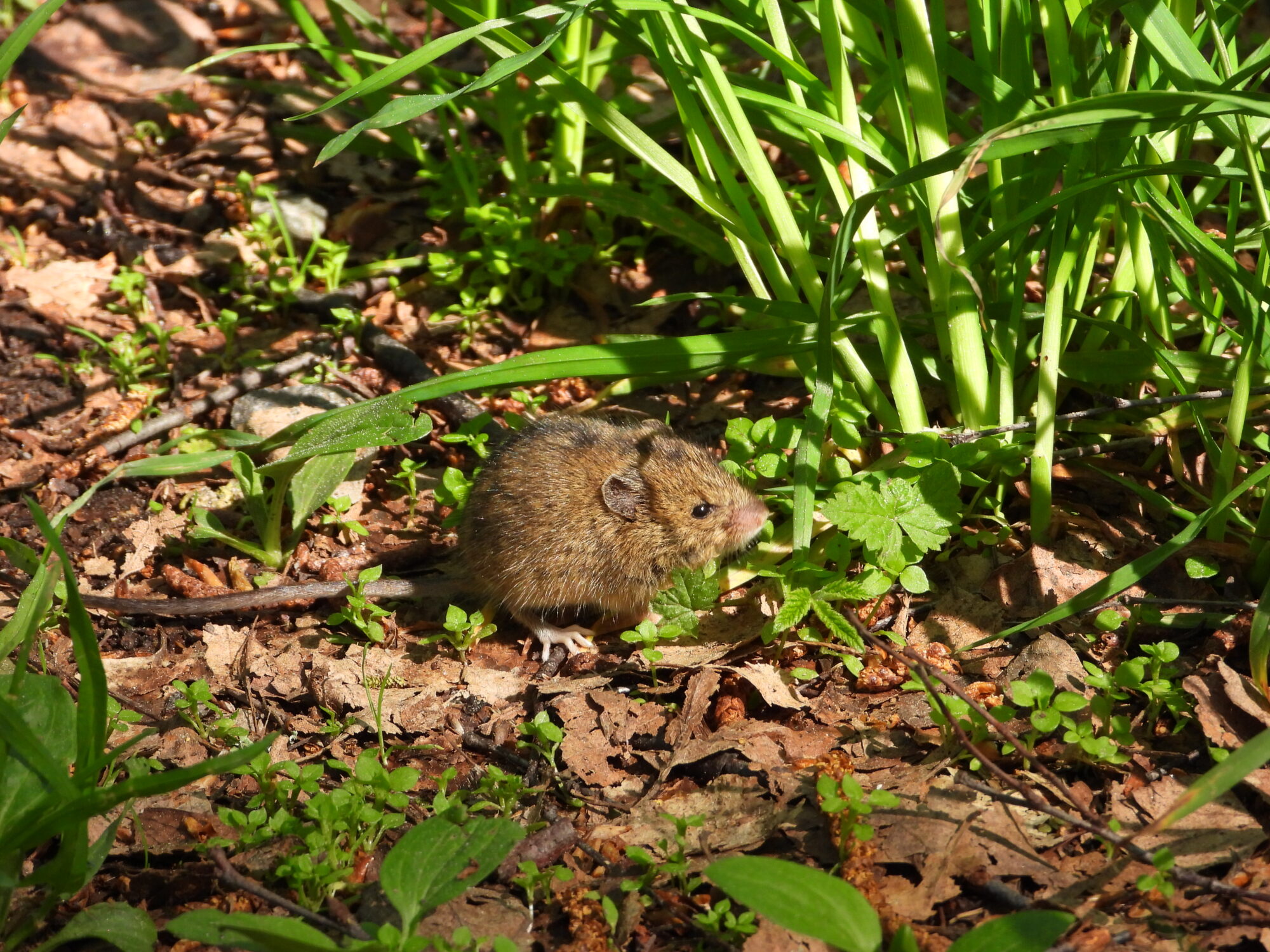 Valokuvaaja: Nadia Partala