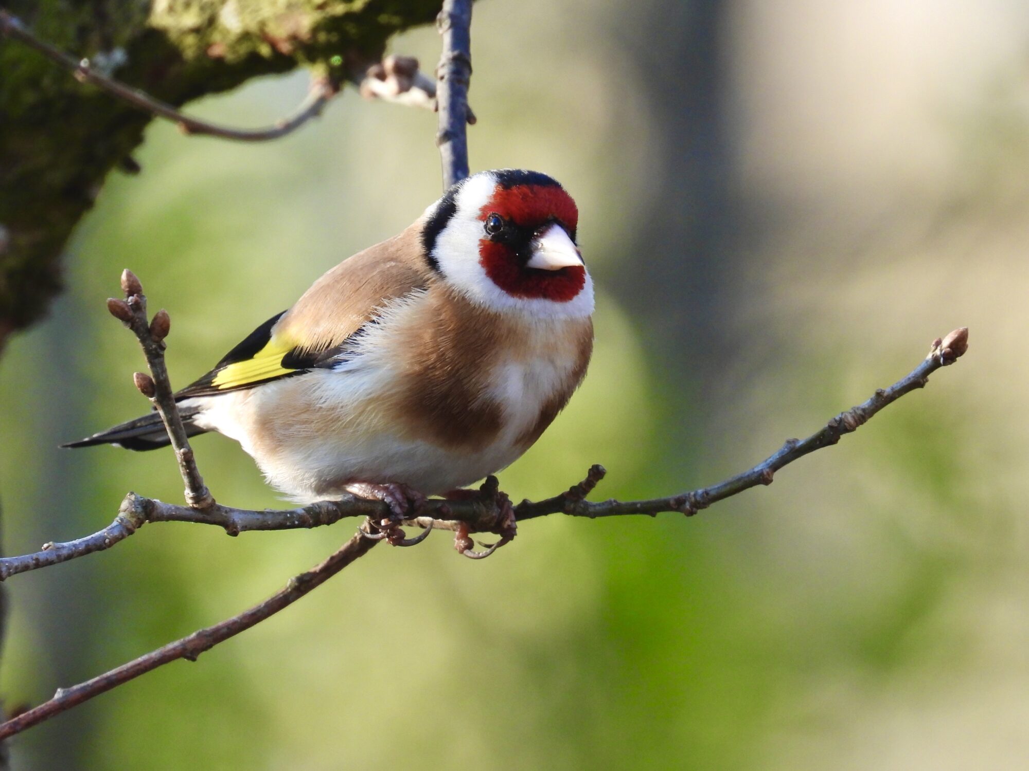 Valokuvaaja: Juhani Peltonen