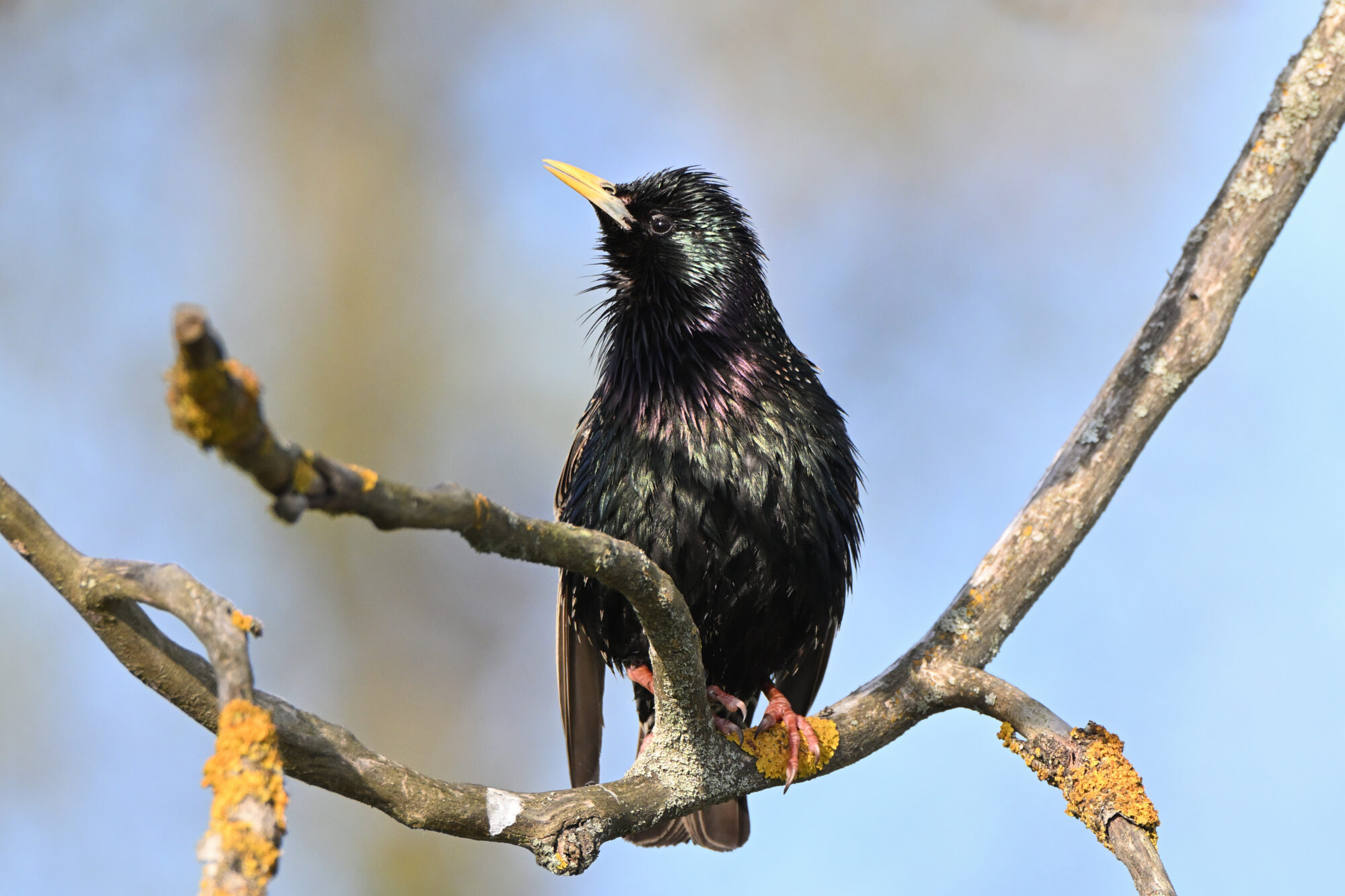 Valokuvaaja: Asko Heikkinen
