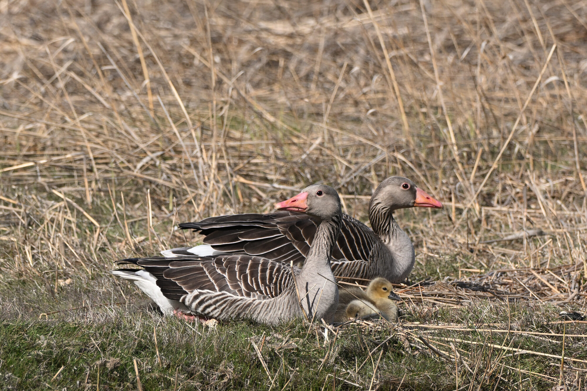 Valokuvaaja: Asko Heikkinen