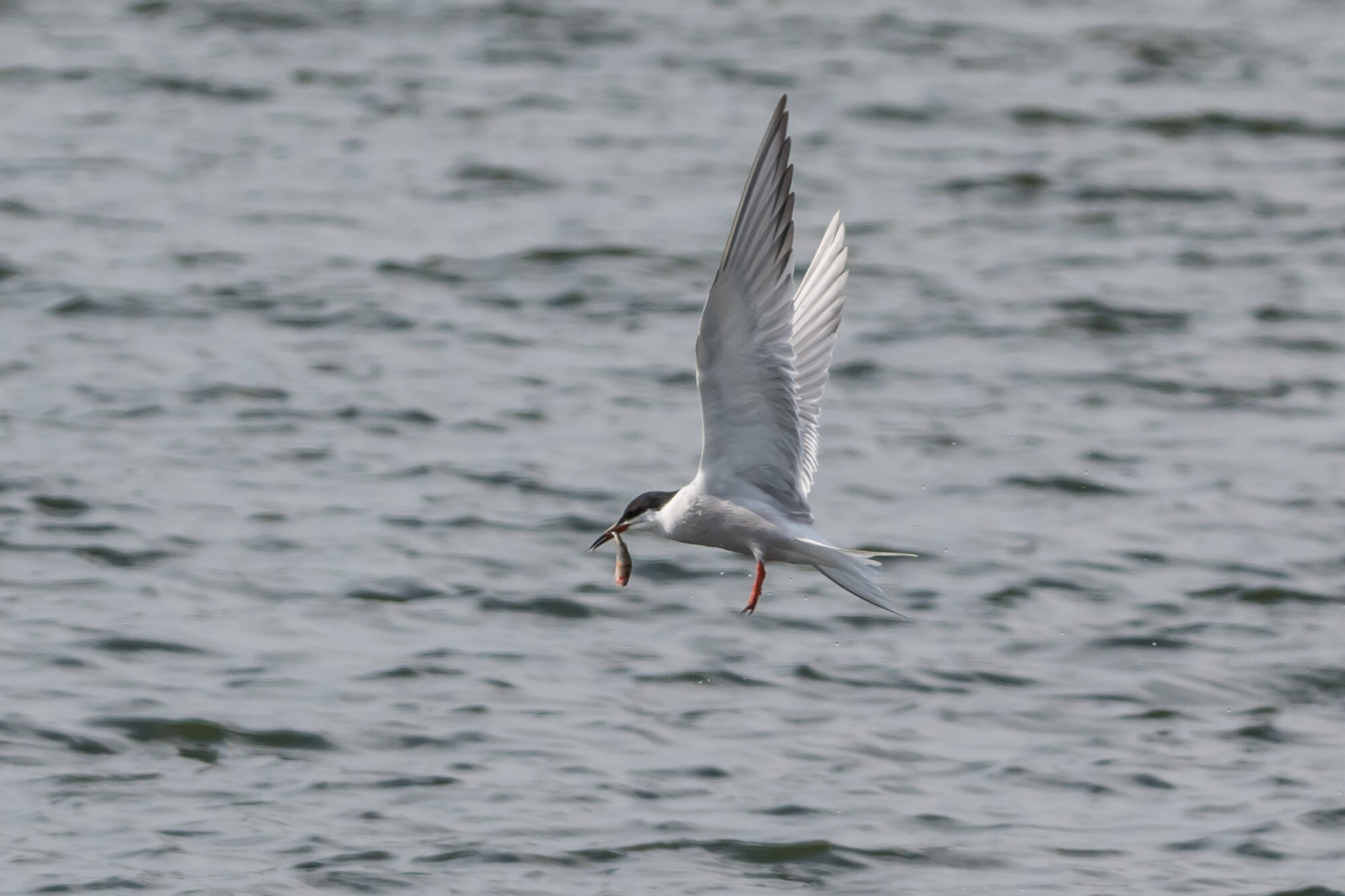 Valokuvaaja: Markku Saarinen