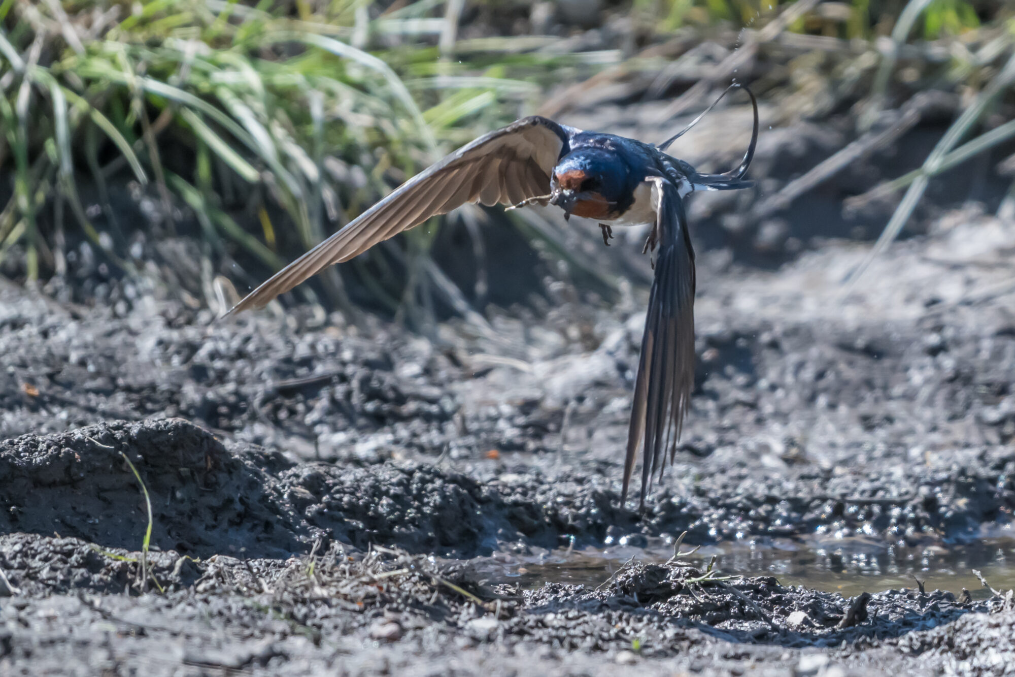 Valokuvaaja: Markku Saarinen