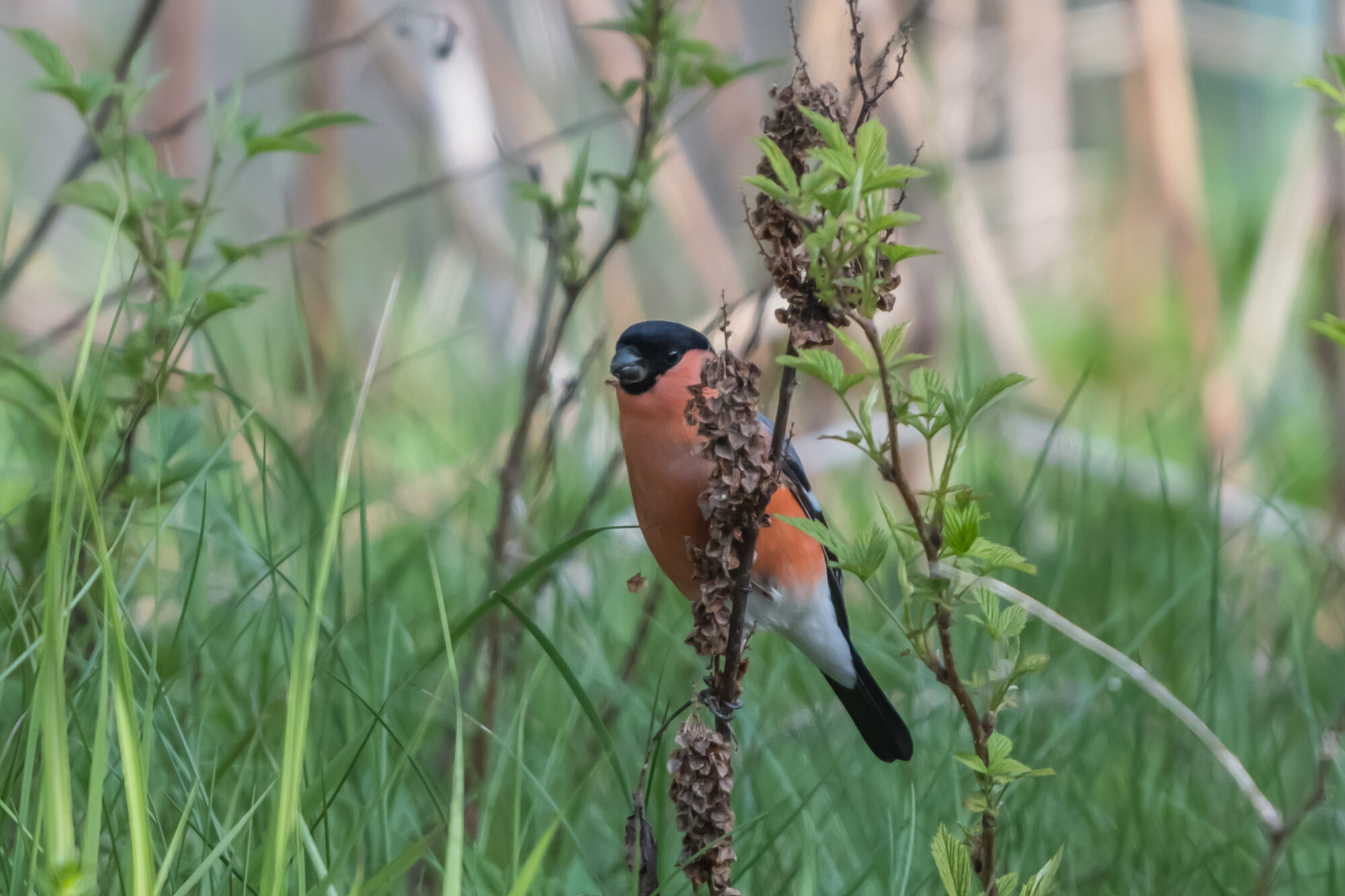 Valokuvaaja: Markku Saarinen