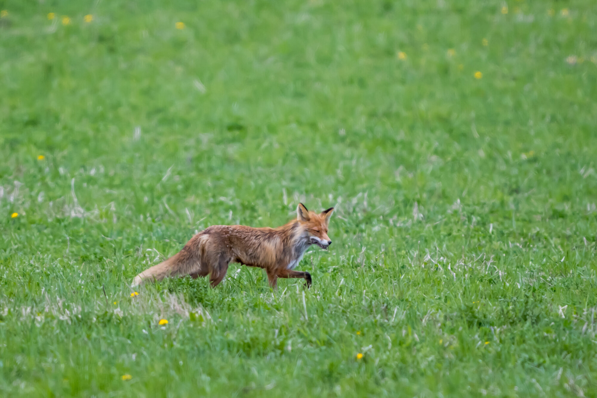 Valokuvaaja: Markku Saarinen