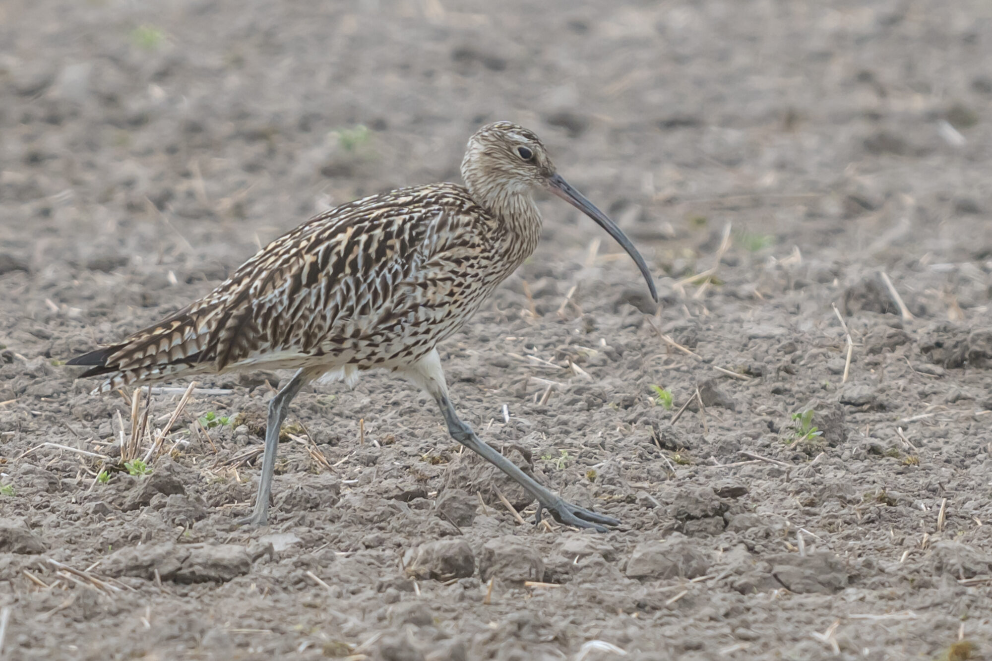 Valokuvaaja: Markku Saarinen